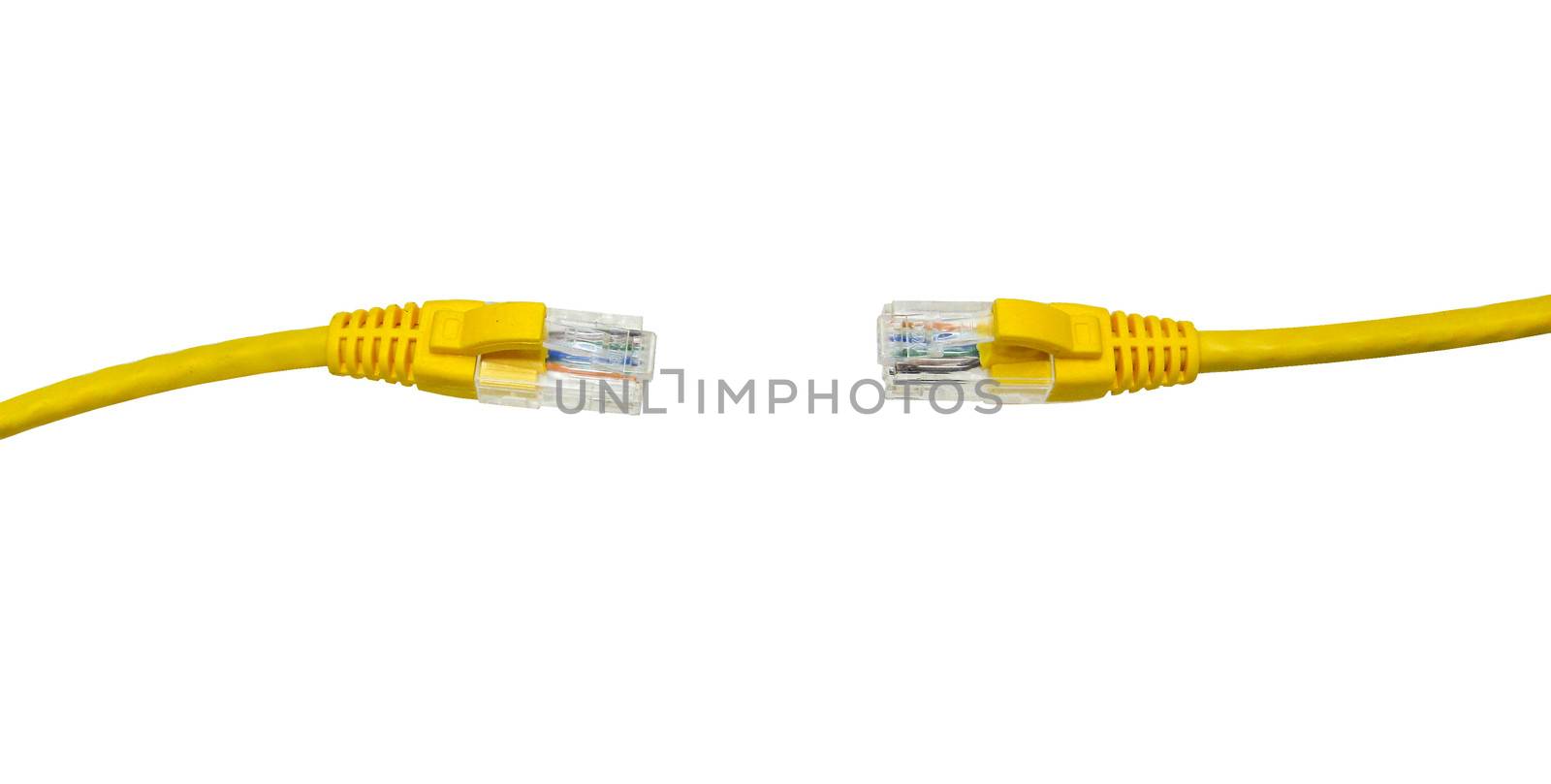 network cables on the white background