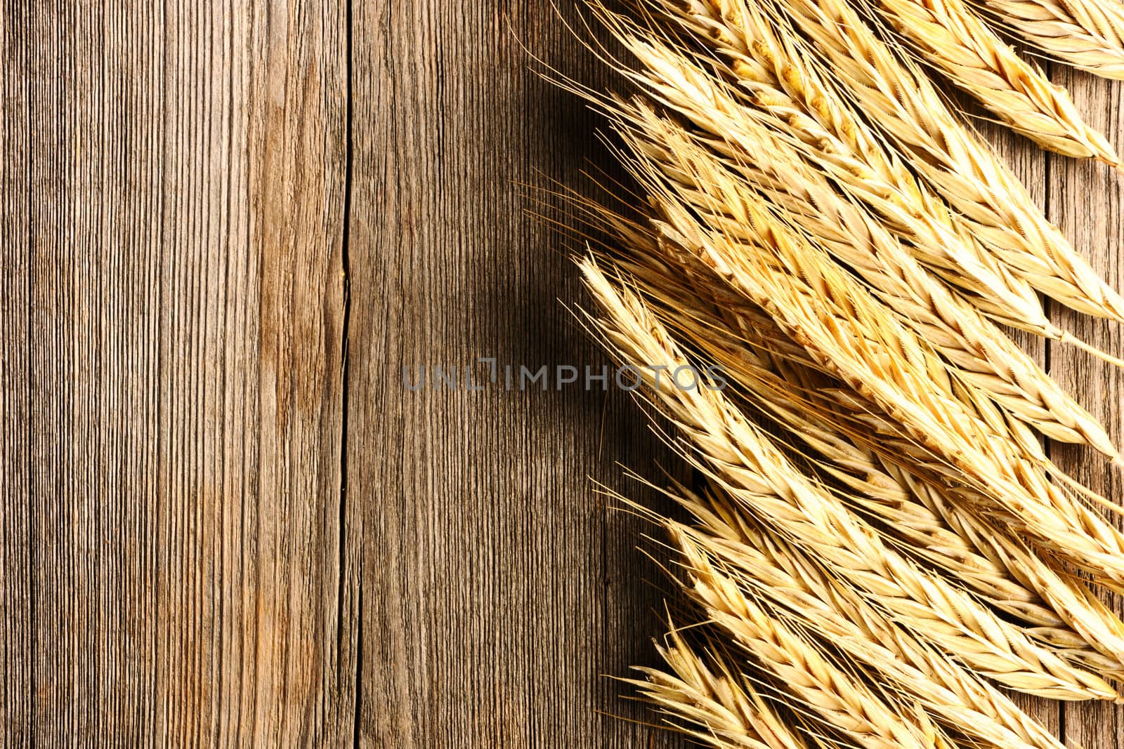 Rye spikelets over wooden background by haveseen