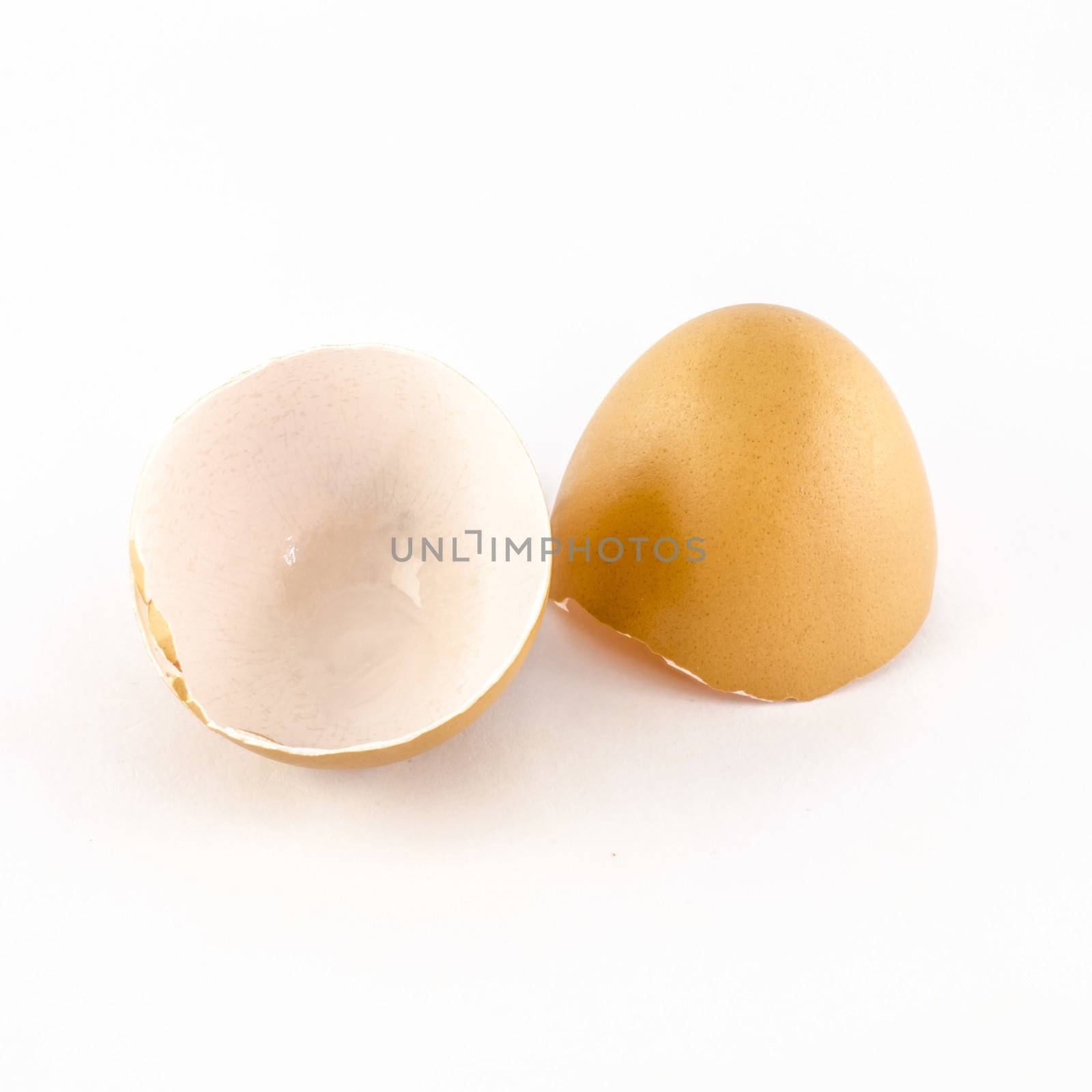 egg shell isolated on white by ammza12