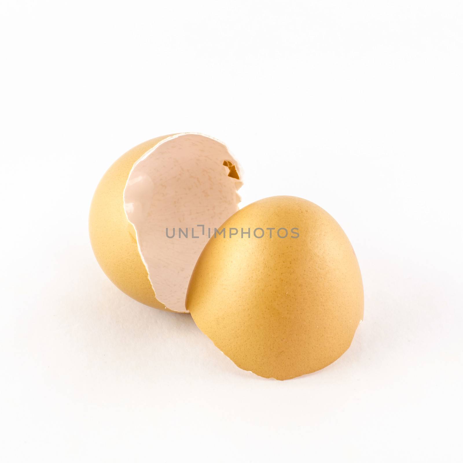 egg shell isolated on white by ammza12