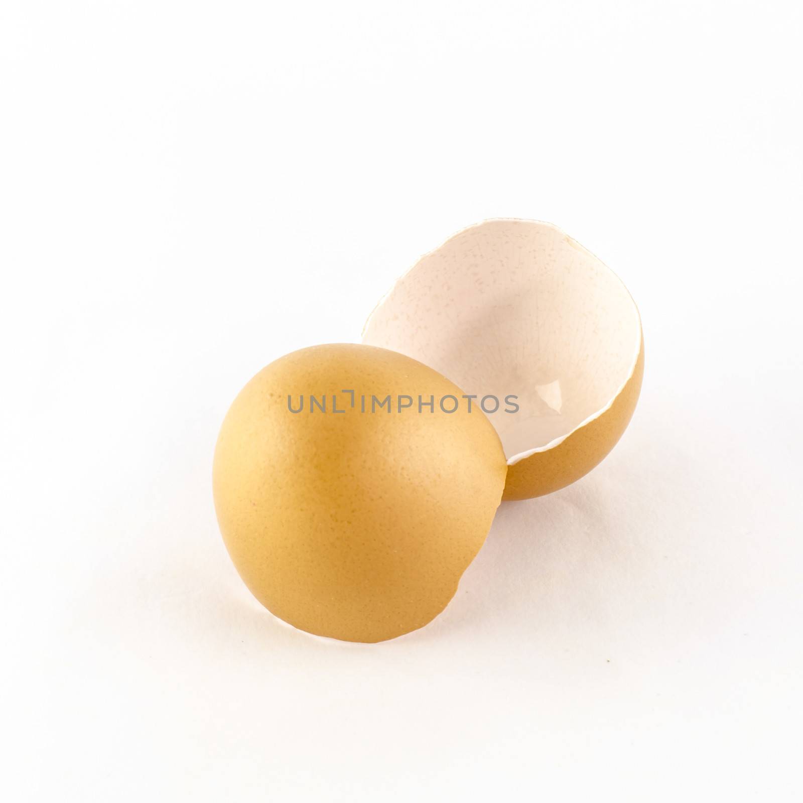 egg shell isolated on white by ammza12