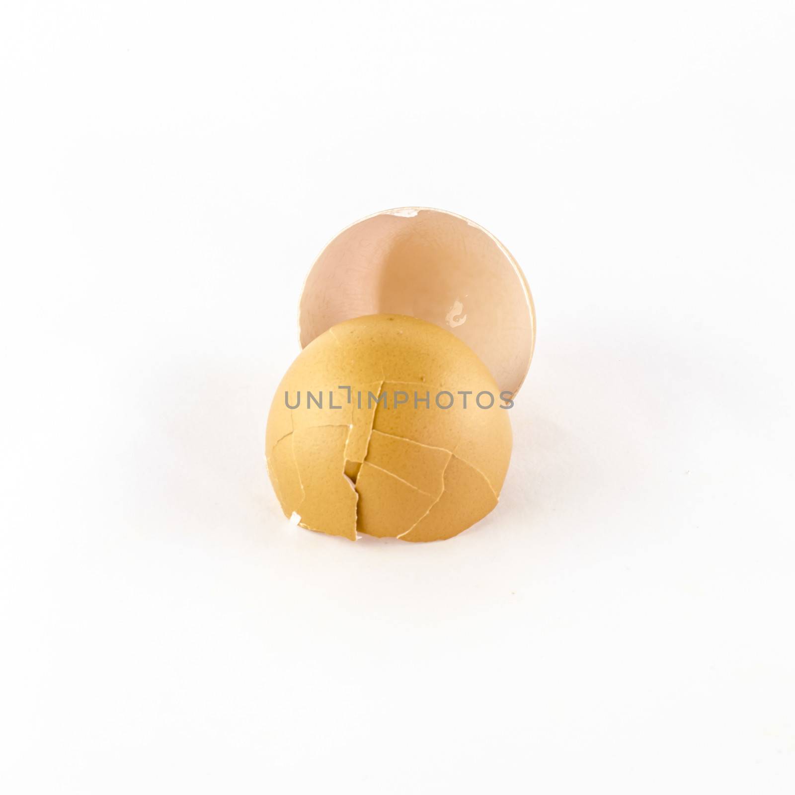 egg shell isolated on white by ammza12