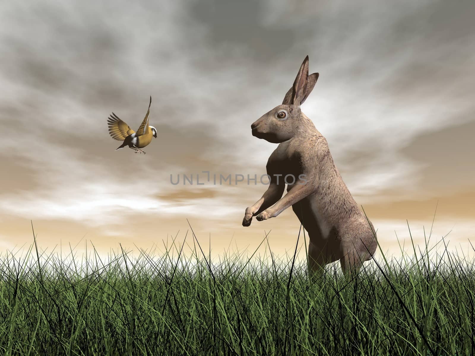 One hare talking to a bird on the grass by brown sunset