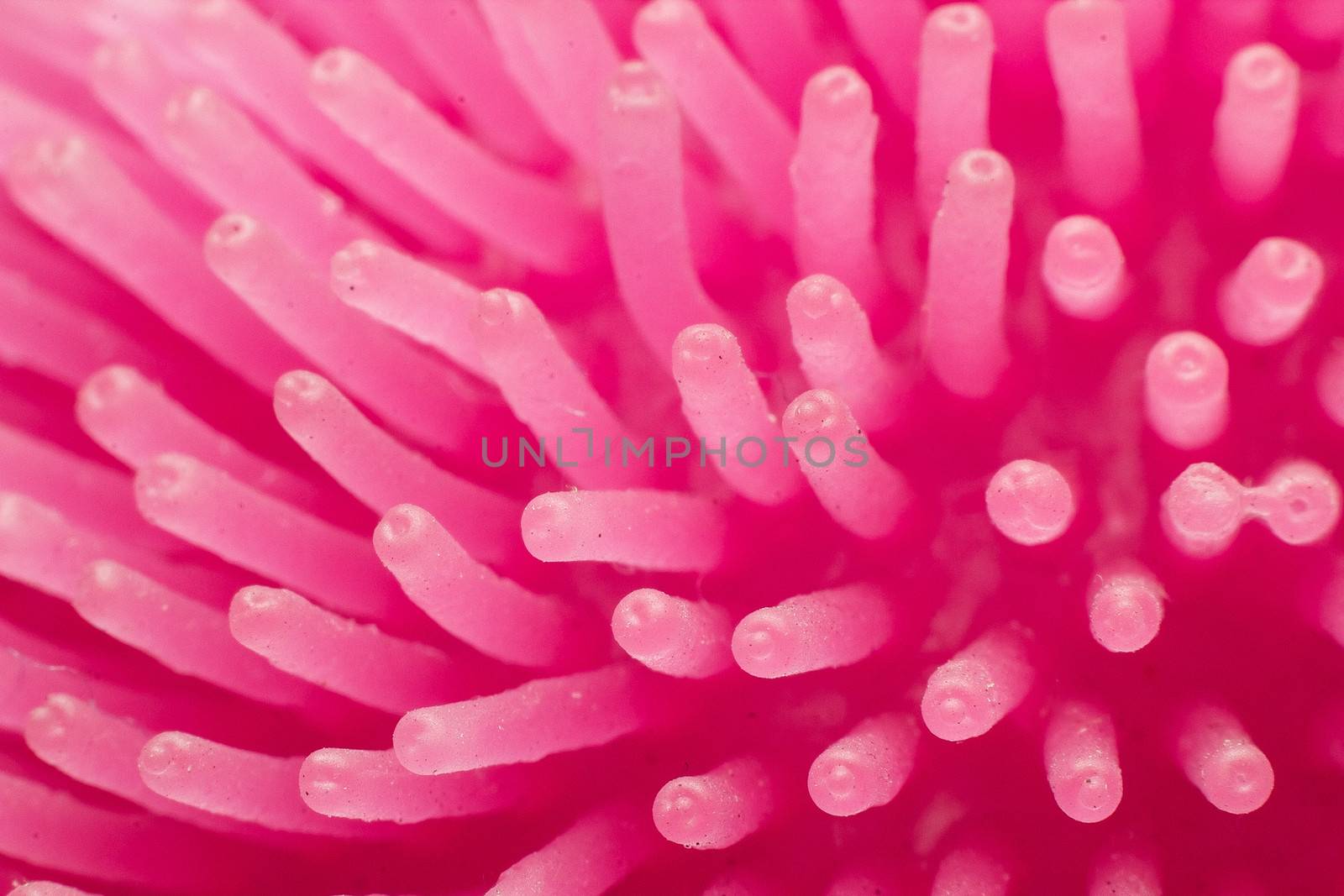 Abstract pink anemone by dynamicfoto