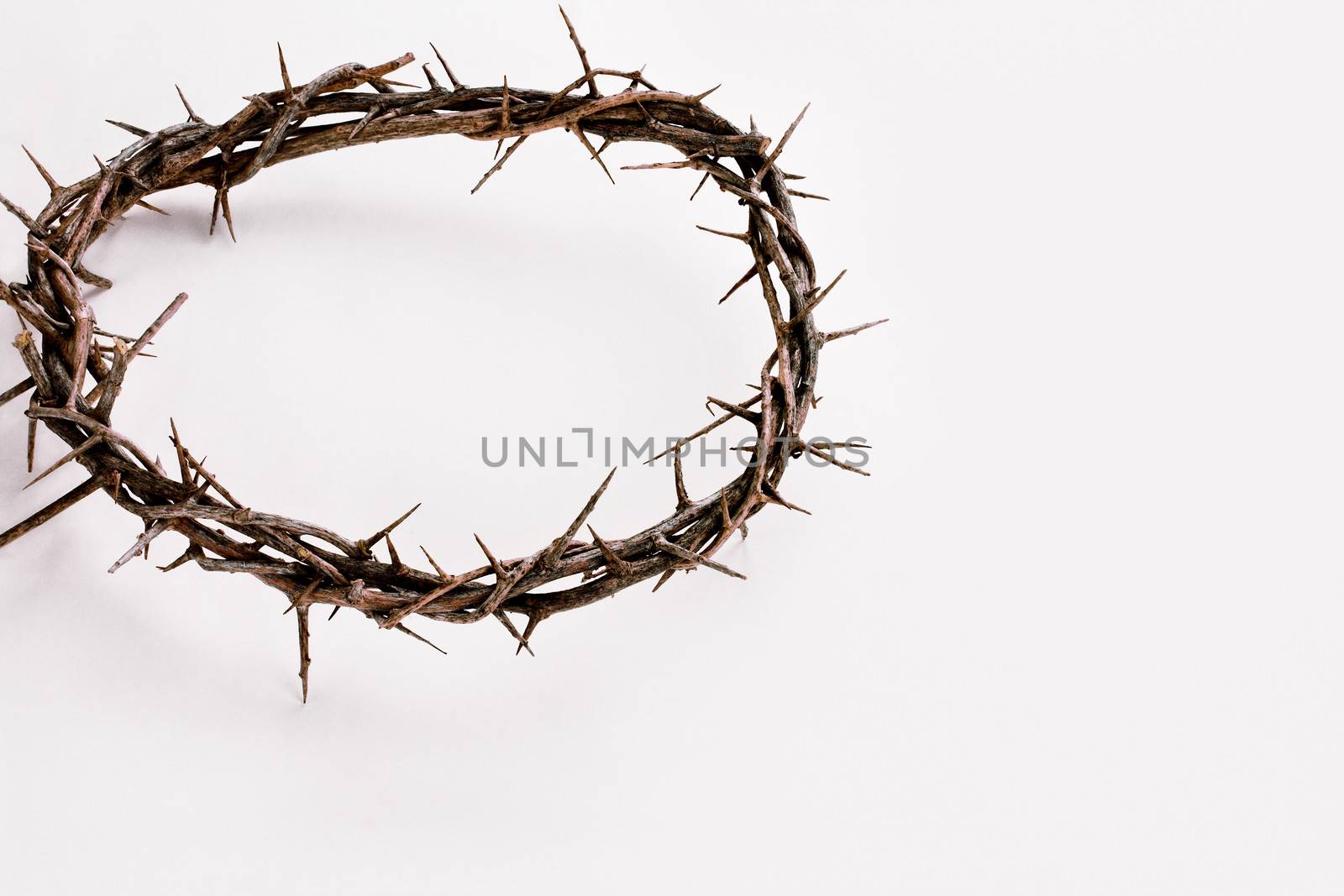 Crown of thorns over a white background with shadow and copy space.