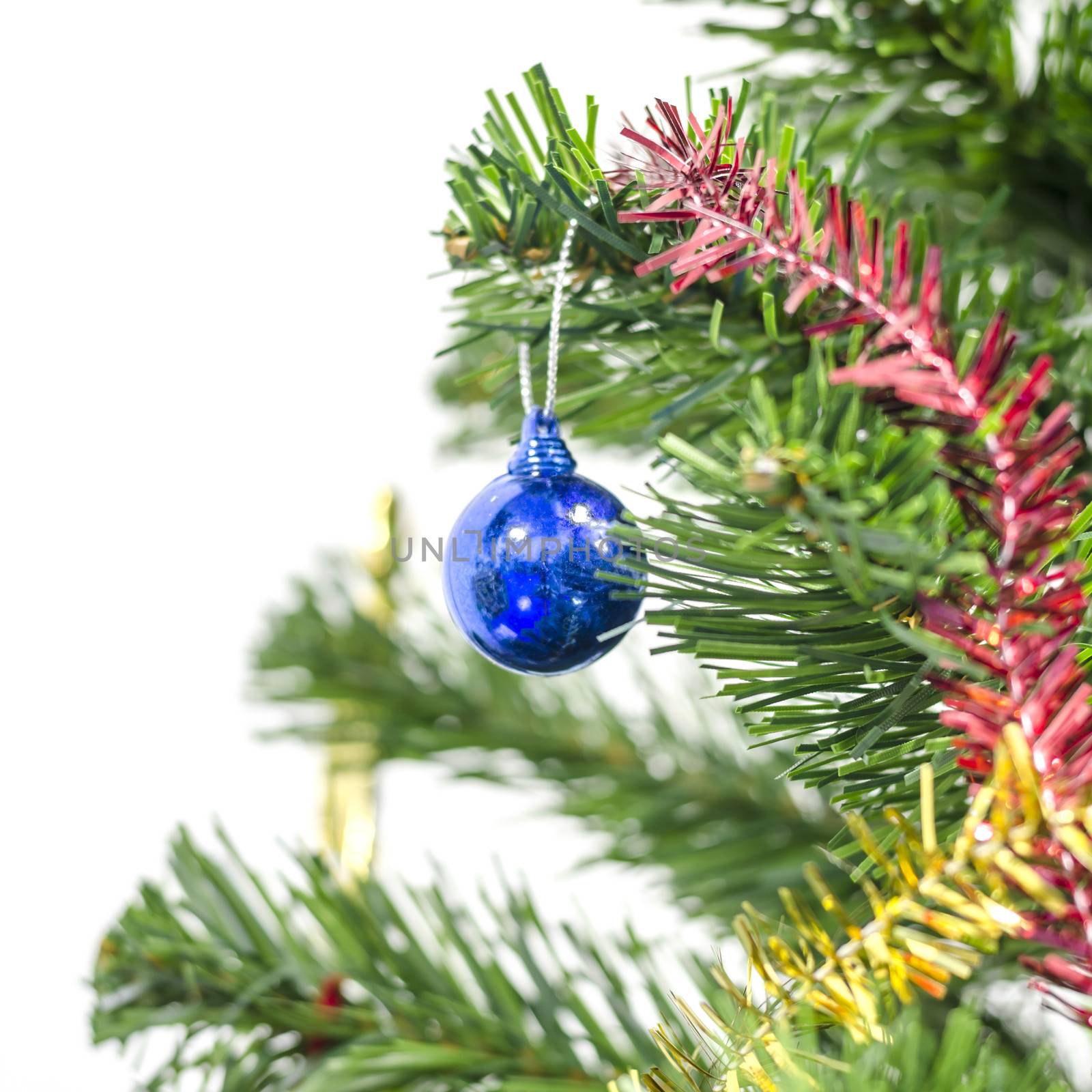 close up blue christmas ball on tree isolated on white background