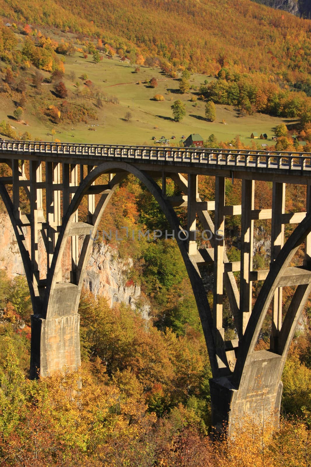 Tara bridge, Durmitor National Park, Montenegro