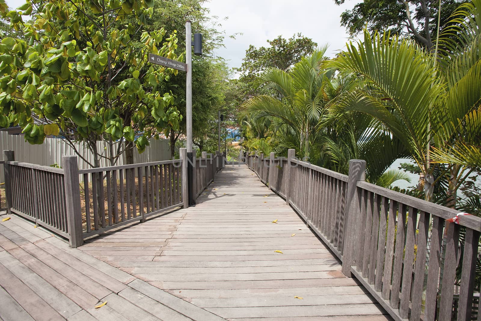 Boardwalk at Changi Point Coastal Walk in Singapore