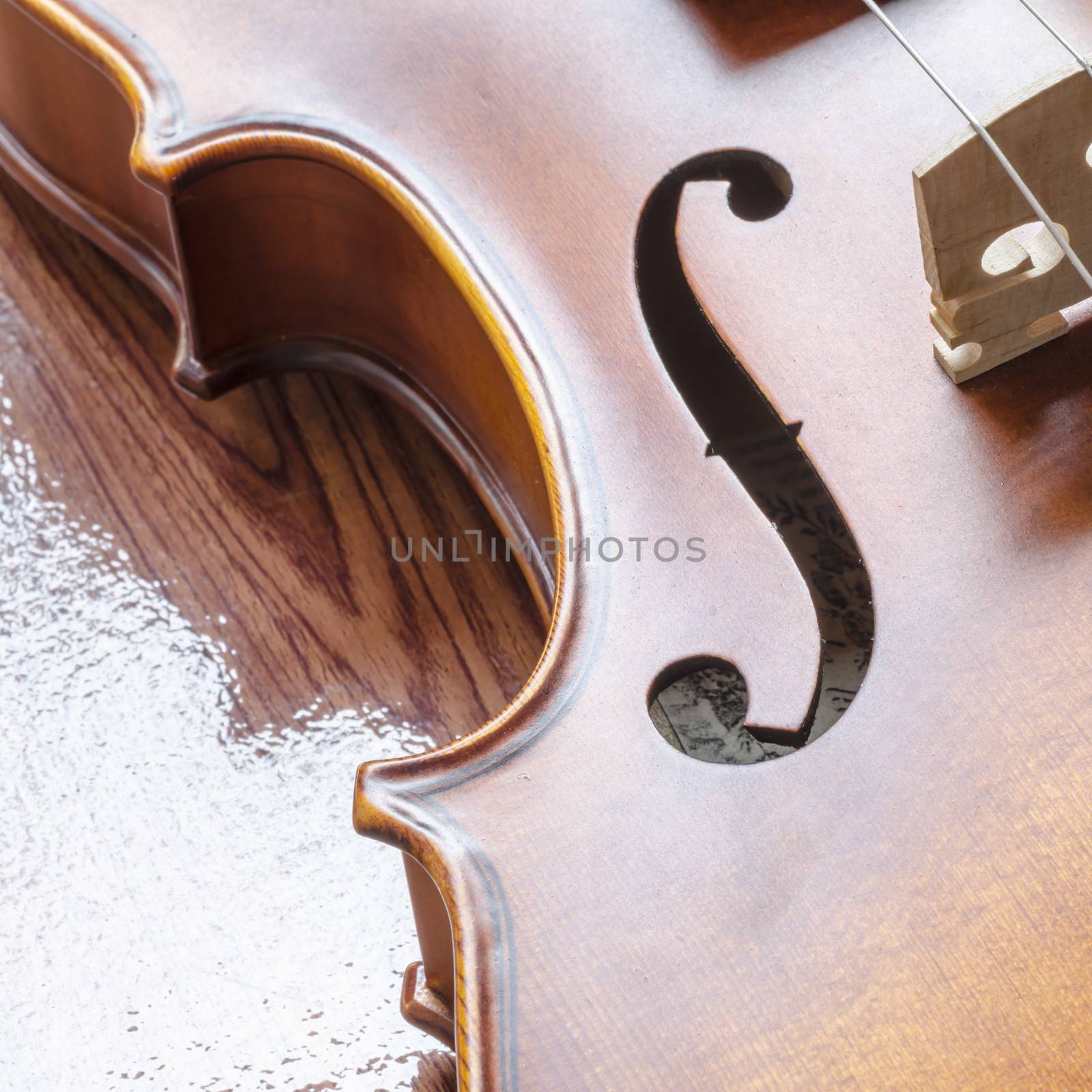 string instrument "violin" on wood background