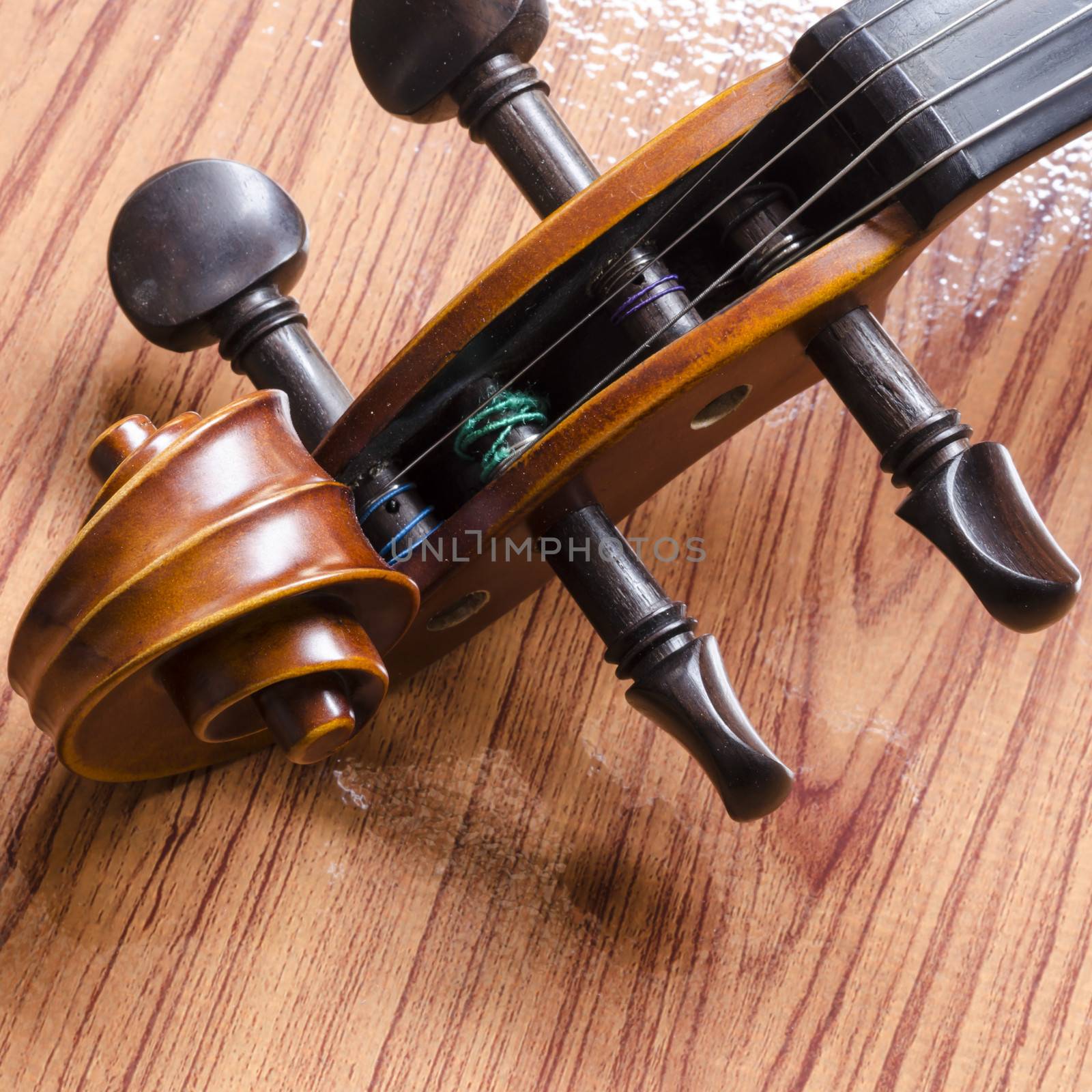 string instrument "violin" on wood background