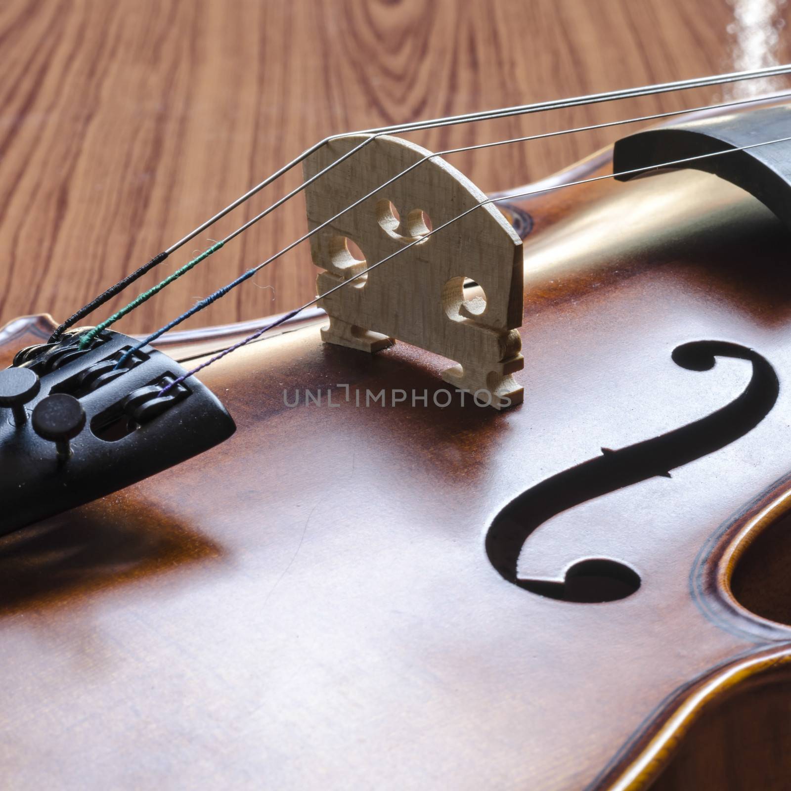 string instrument "violin" on wood background