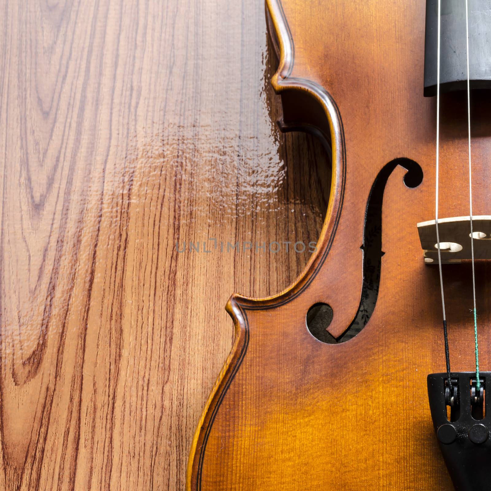 string instrument "violin" on wood background