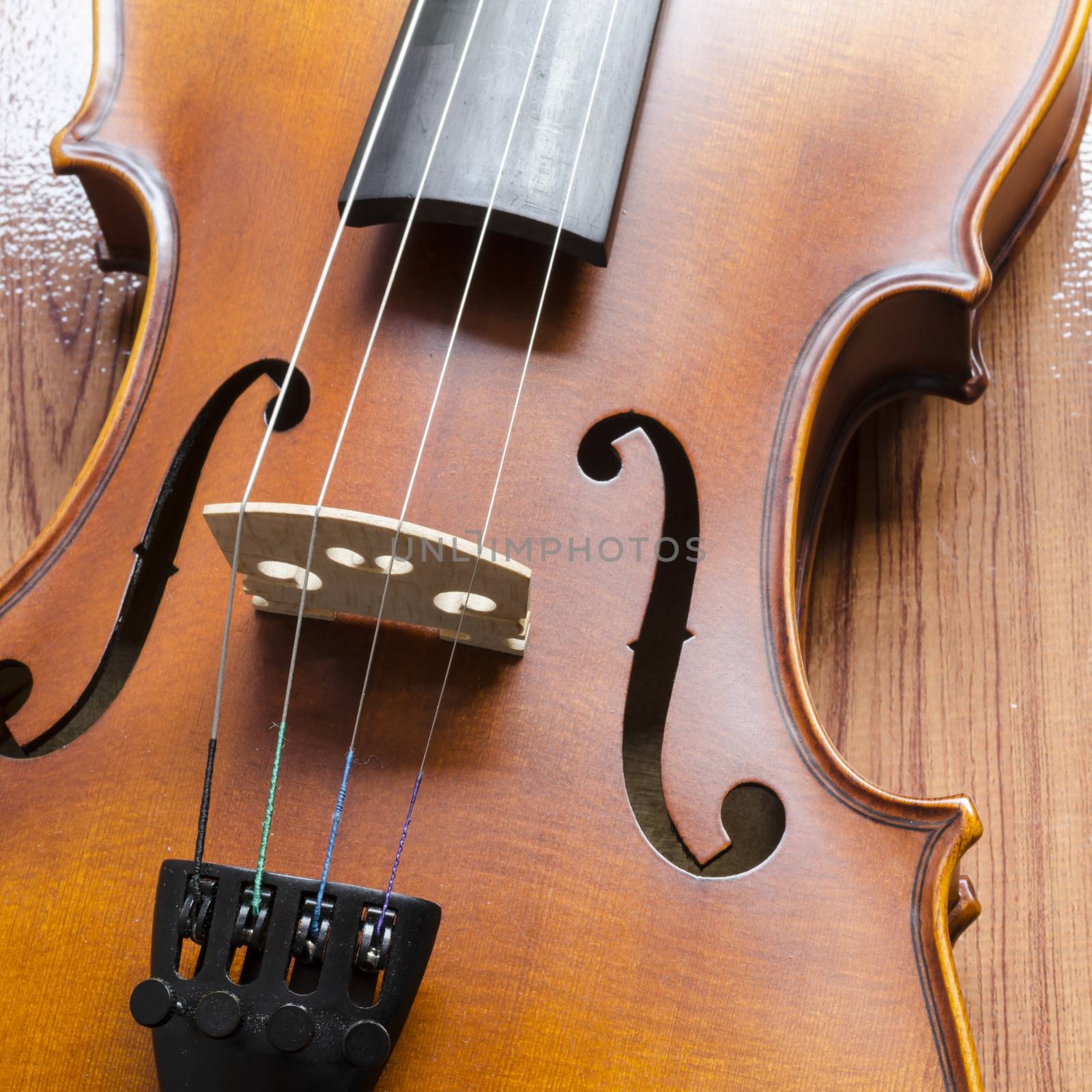 string instrument "violin" on wood background