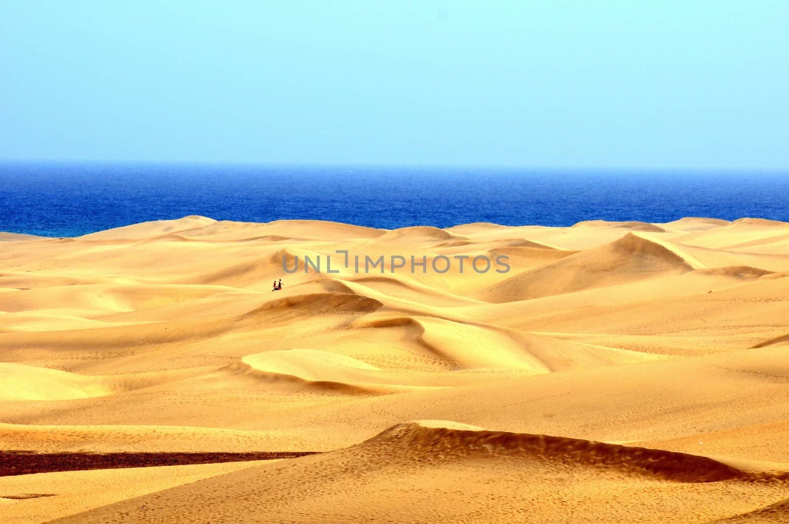 Sand Desert by underworld