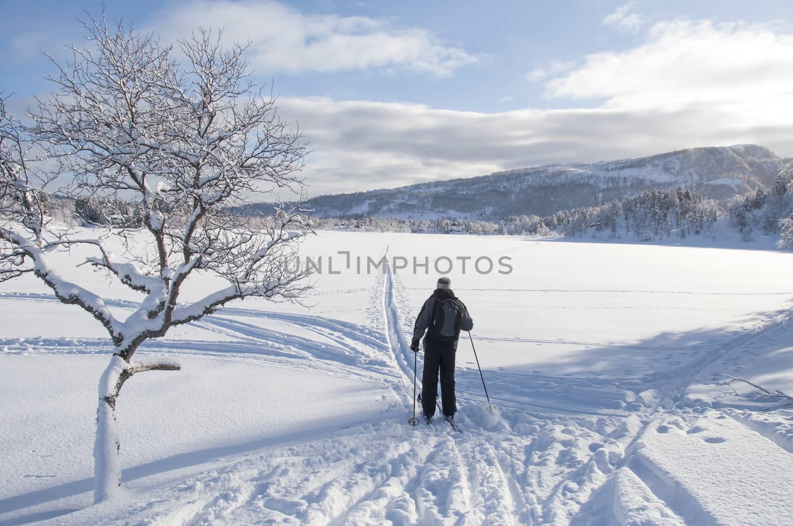 A cross country skier crossing a lake