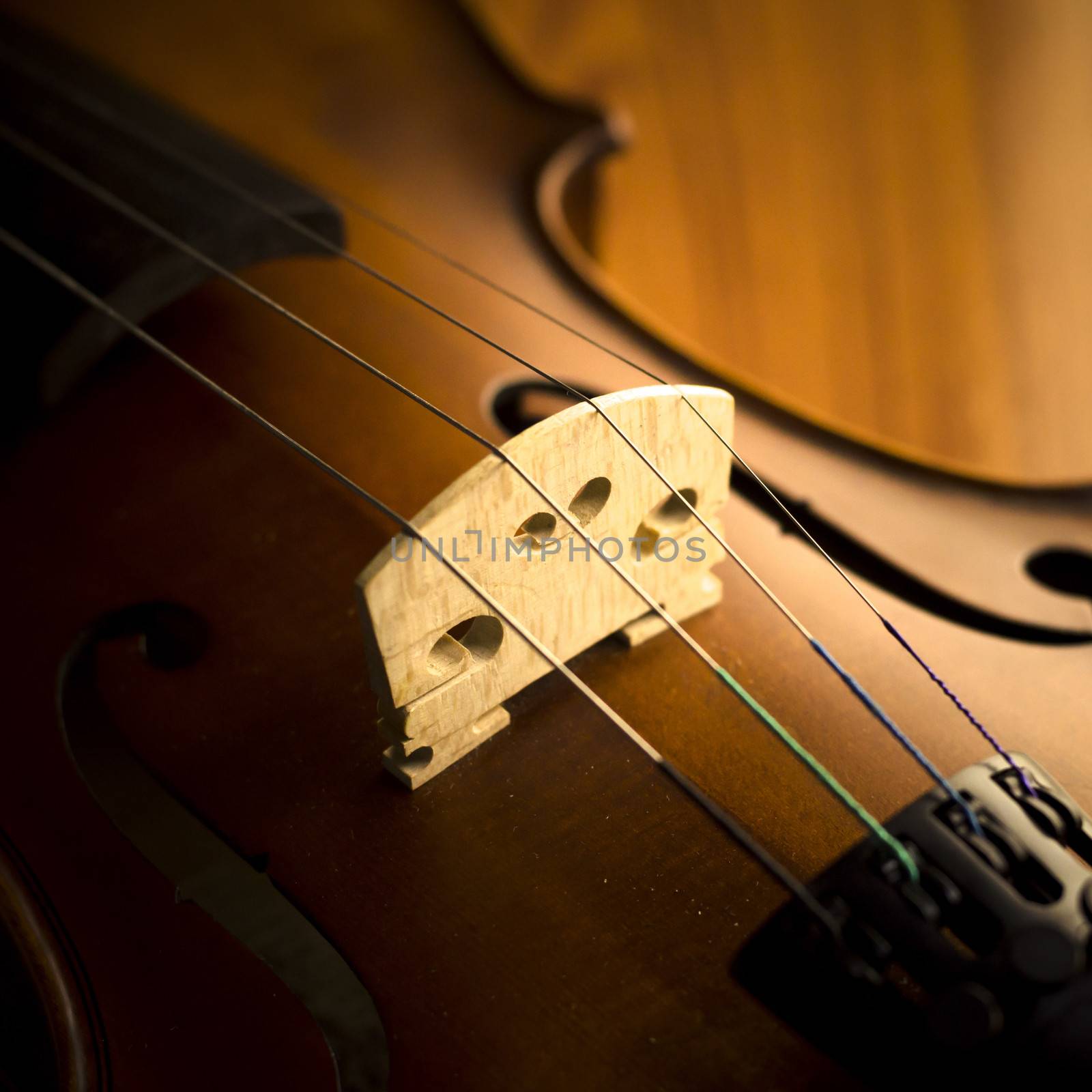 "time to practice violin" violin in vintage style on wood background