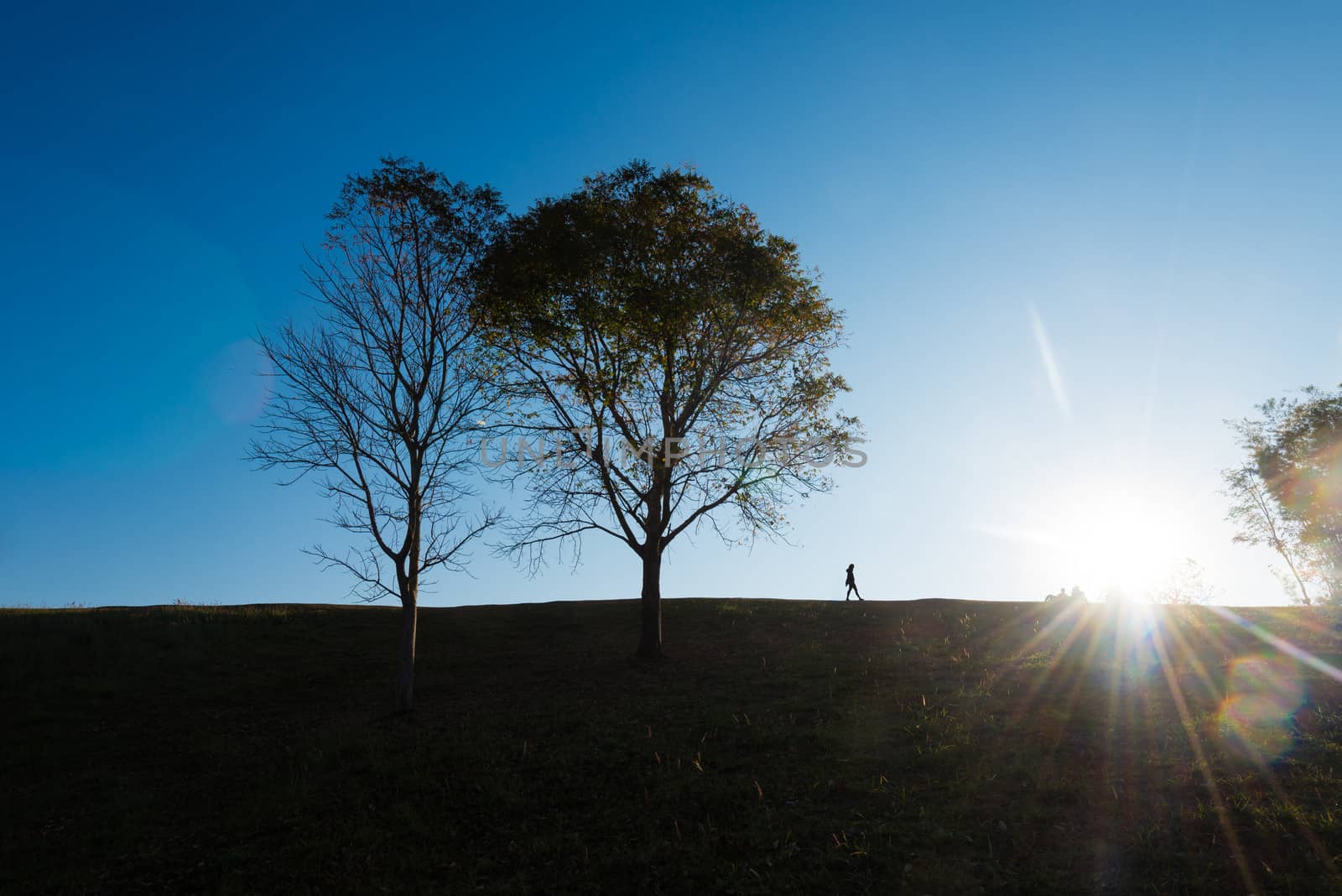 silhouette of people and tree  on hill with sunrise and lens flare effect