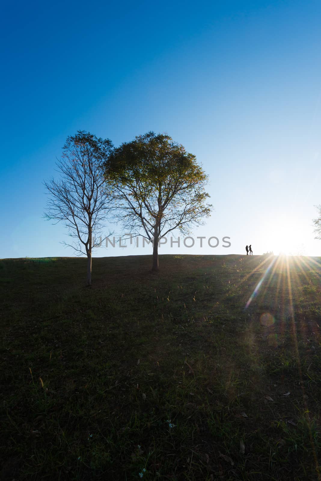 silhouette of people and tree  on hill with sunrise and lens flare effect