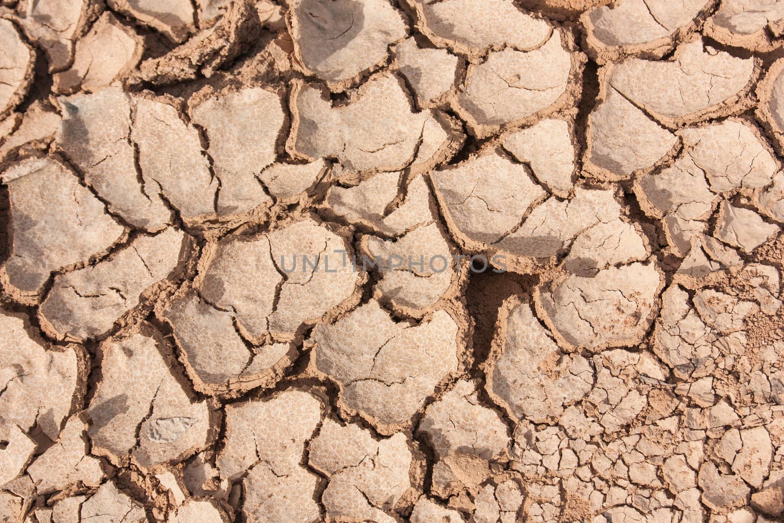 Crack earth dry by Sorapop