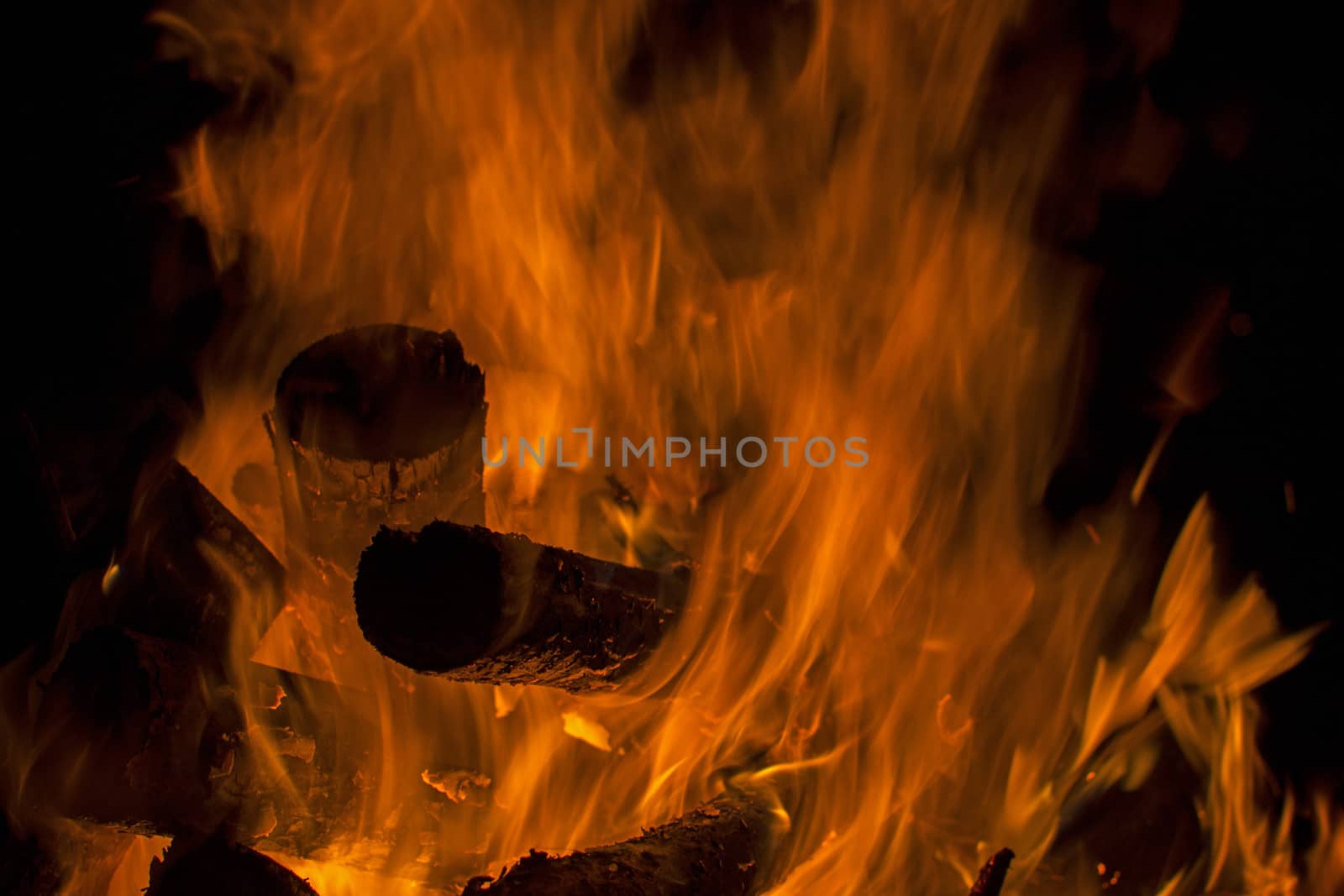 Logs in the fire on a black background