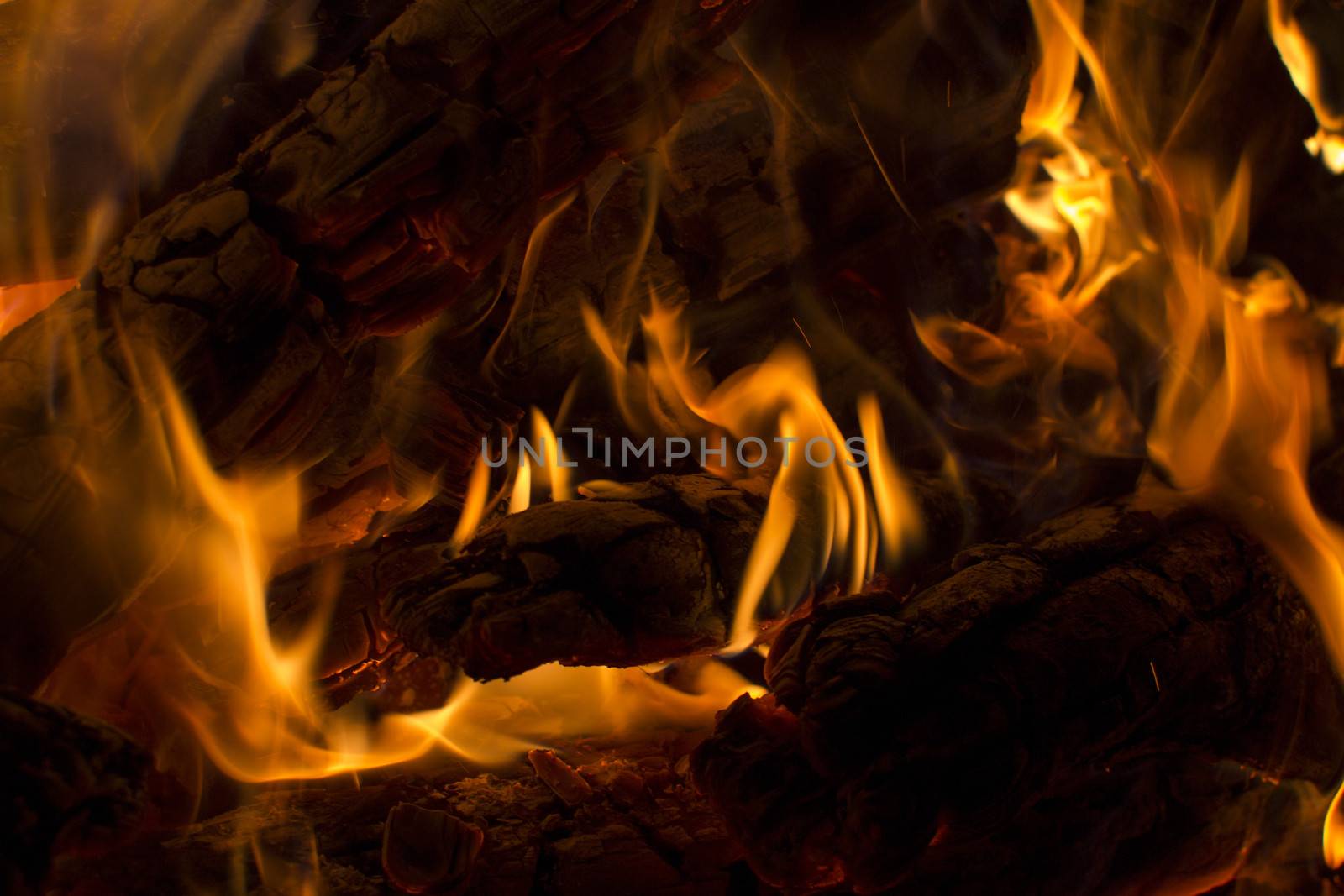 firewood burned in a bonfire closeup by Irene1601