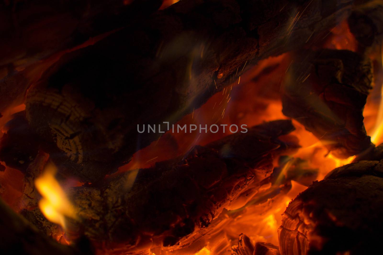 firewood burned in a bonfire closeup