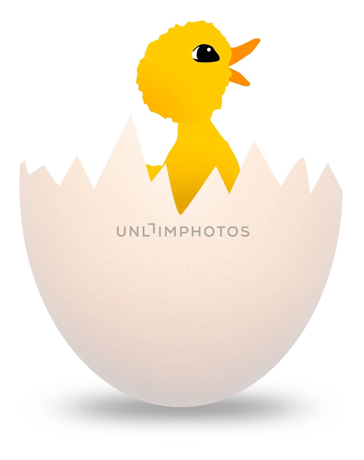 Hatching Bird by darrenwhittingham