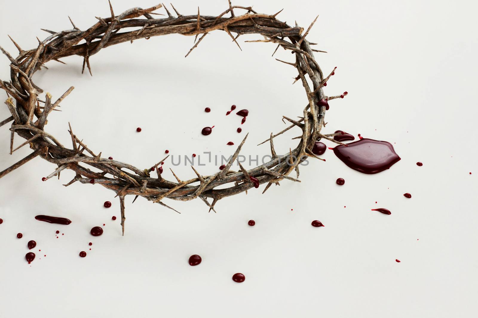 Crown of Thorns and Blood by StephanieFrey