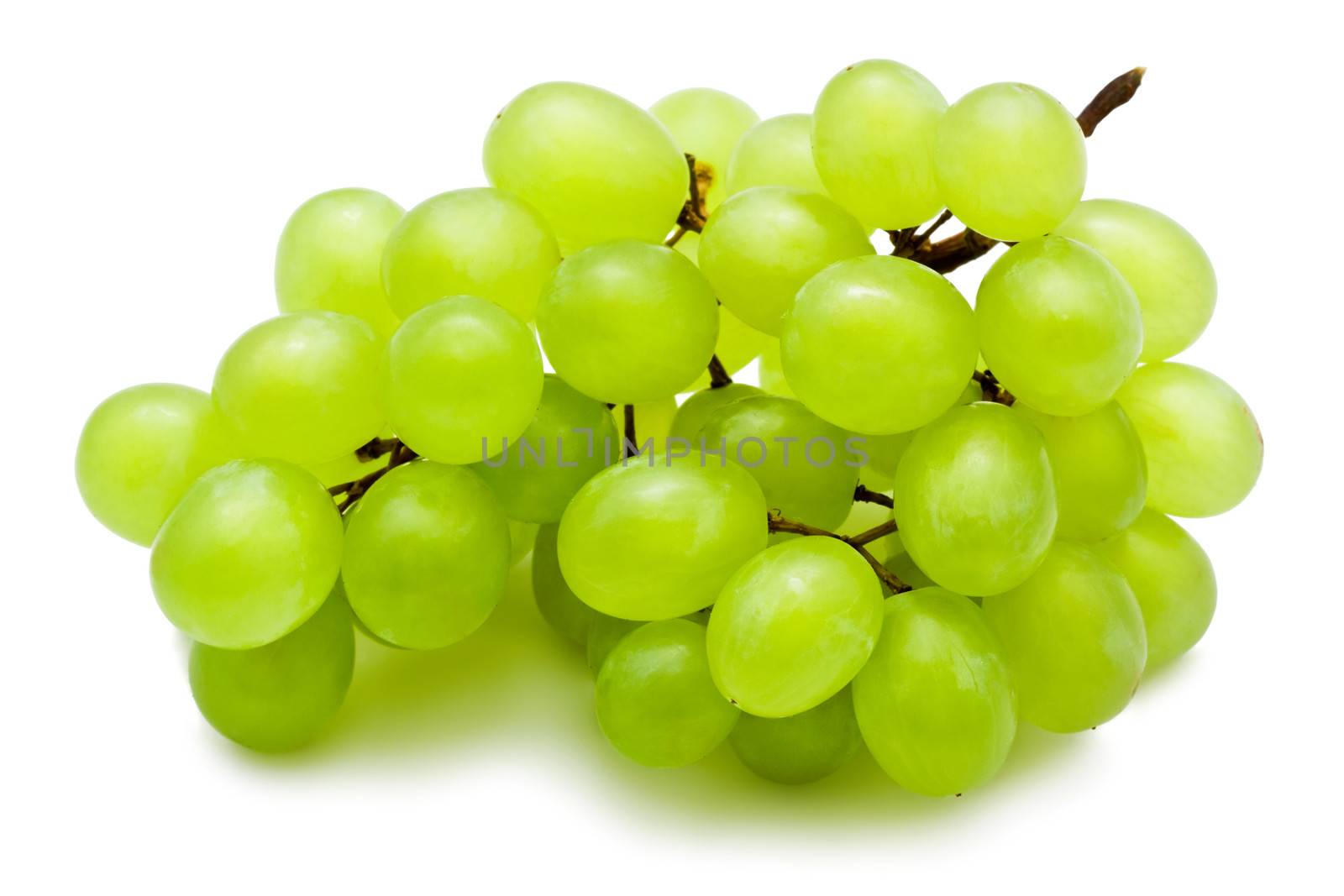 Branch of grapes isolated on white background