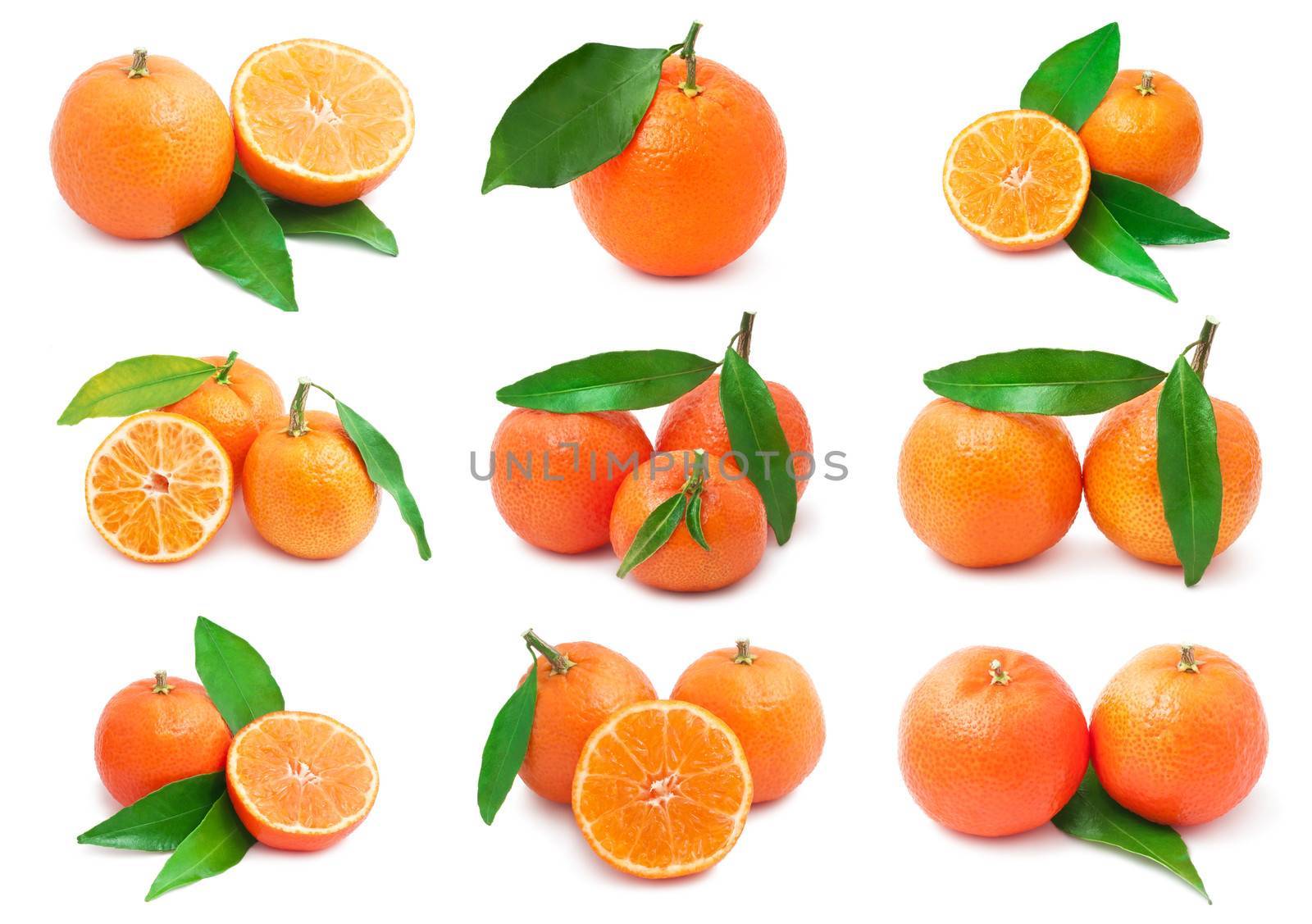 Collection of juicy tangerines or mandarins isolated on white background