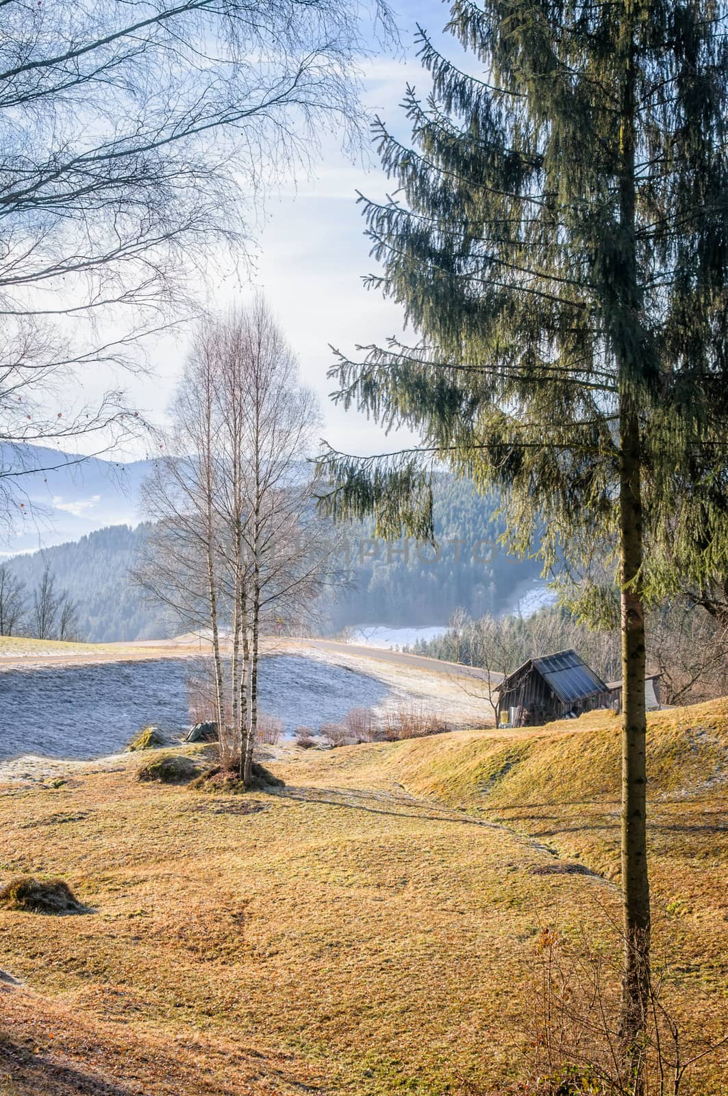 Autumn landscape with some trees in upper austria