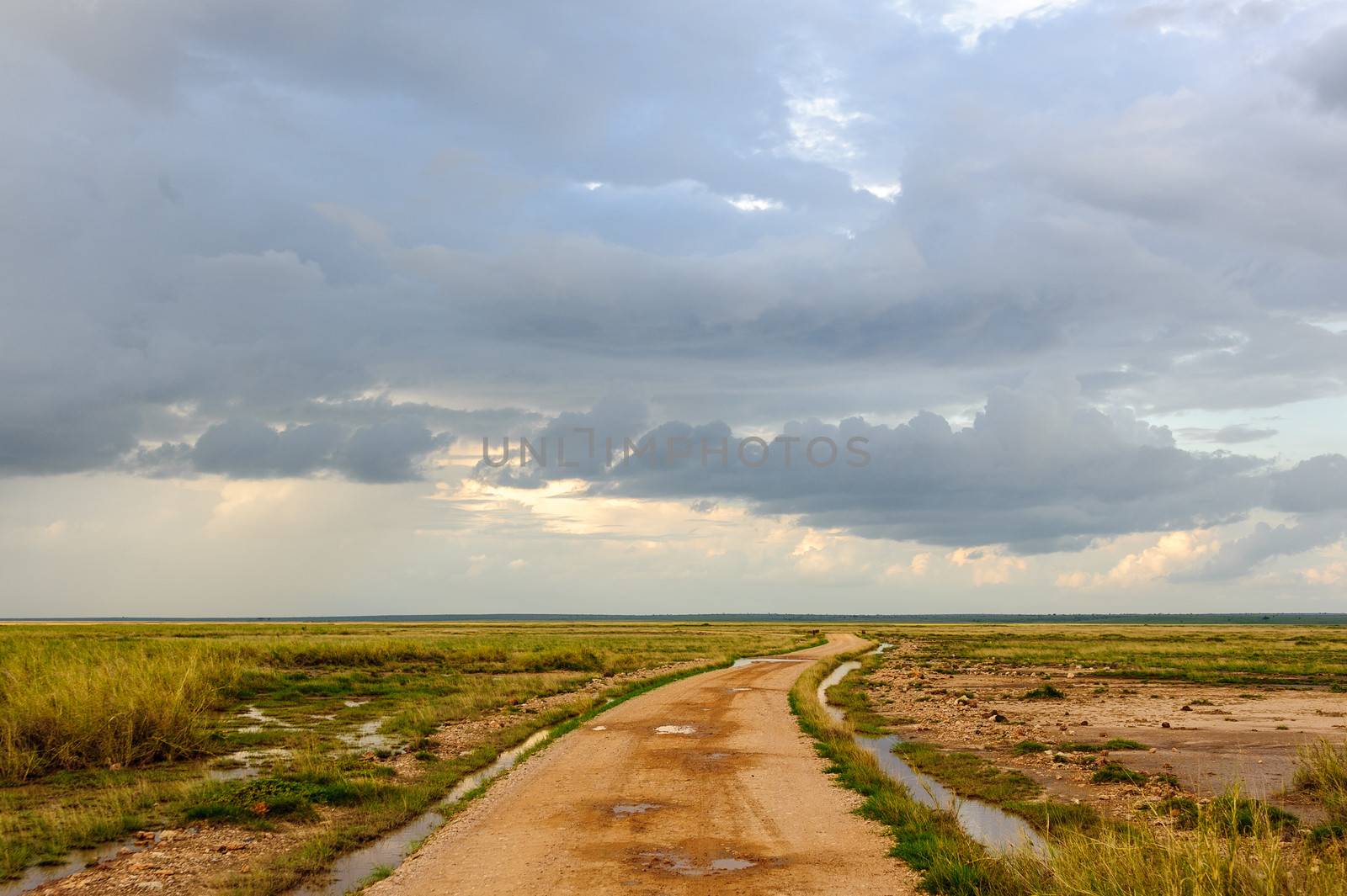 the road of amboseli national park in South Kenya.