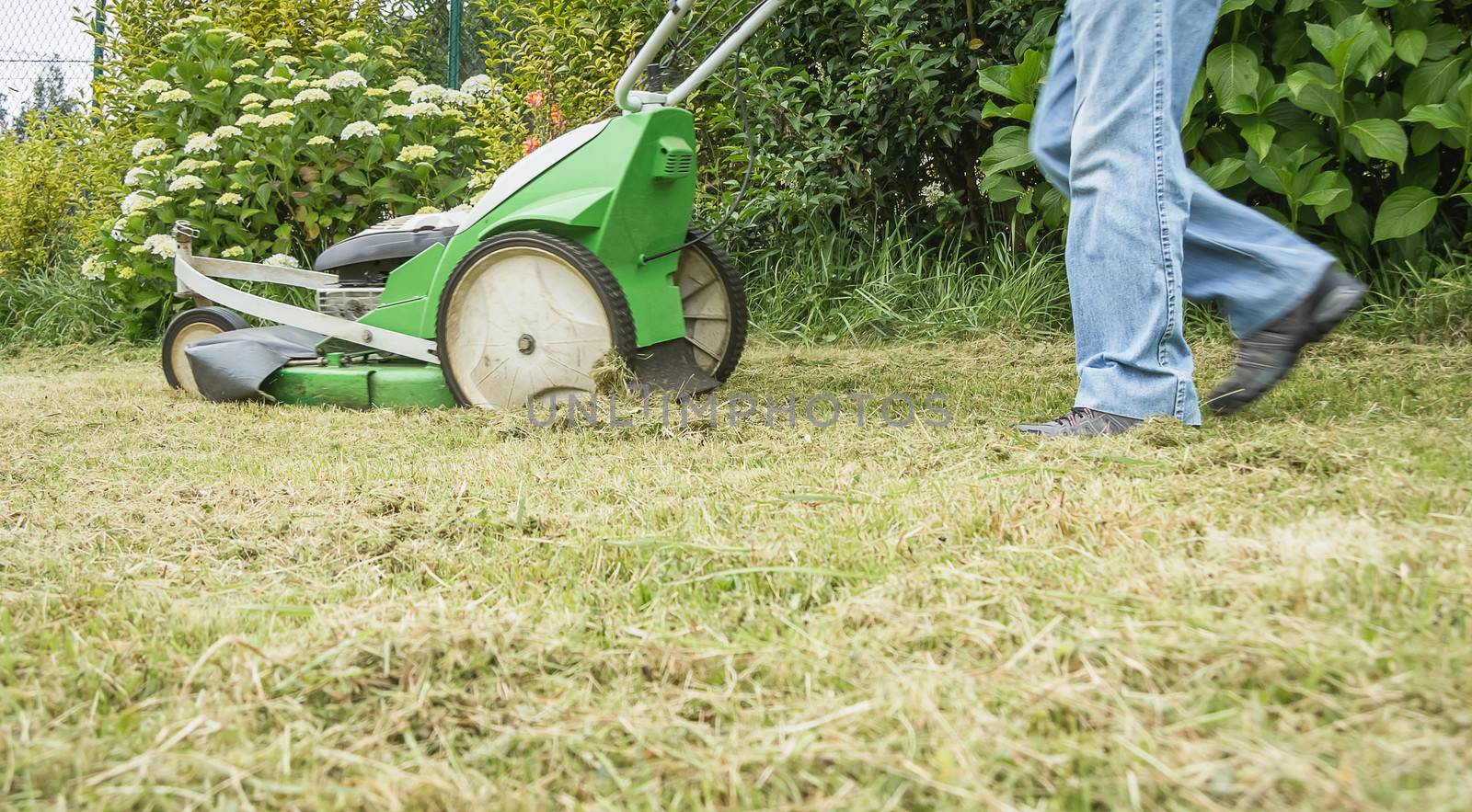 Senior man mowing the lawn with a lawnmower machine