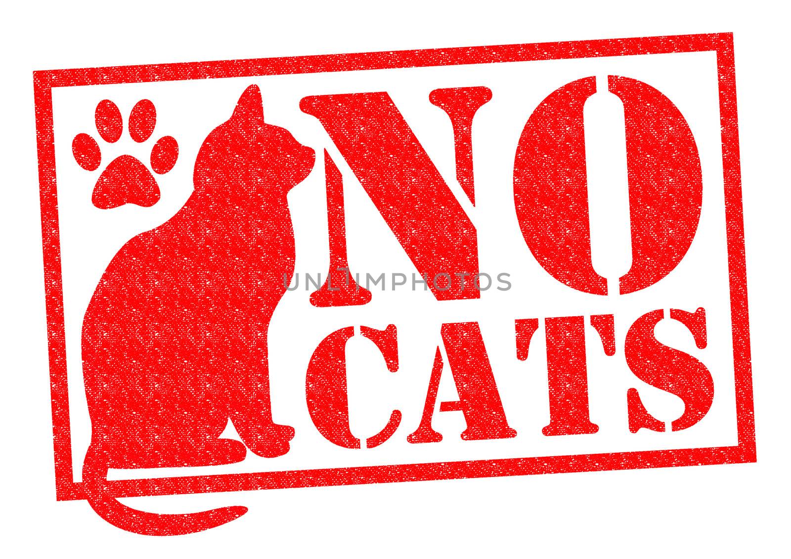 NO CATS by chrisdorney