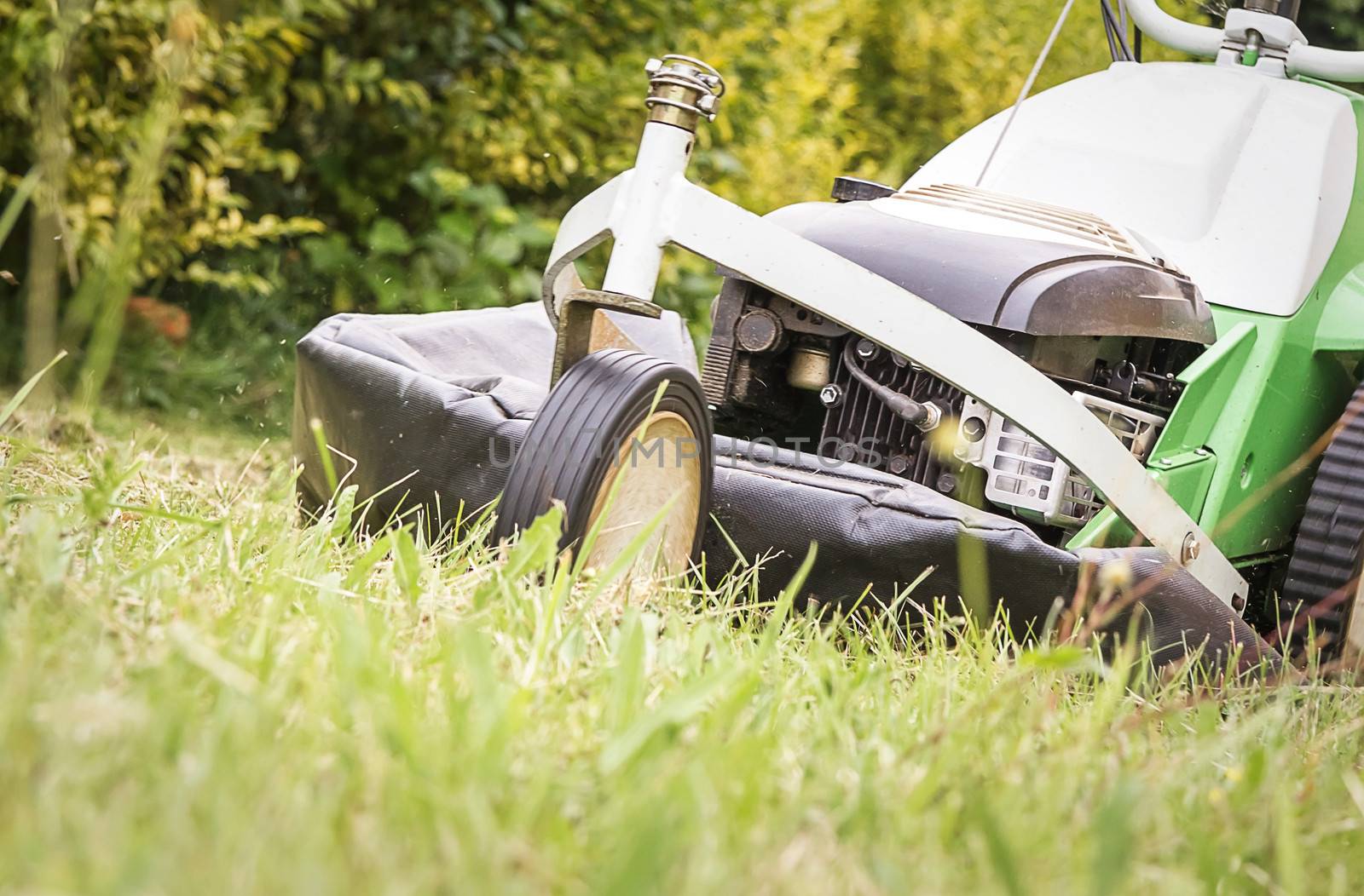 Closeup of lawnmower in the garden cutting lawn