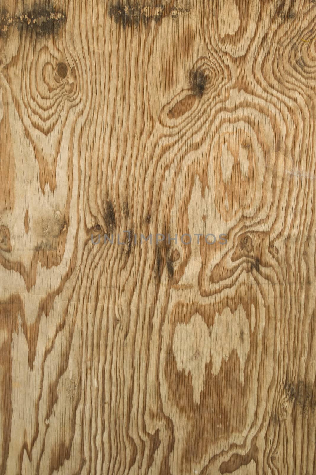 Old wood background