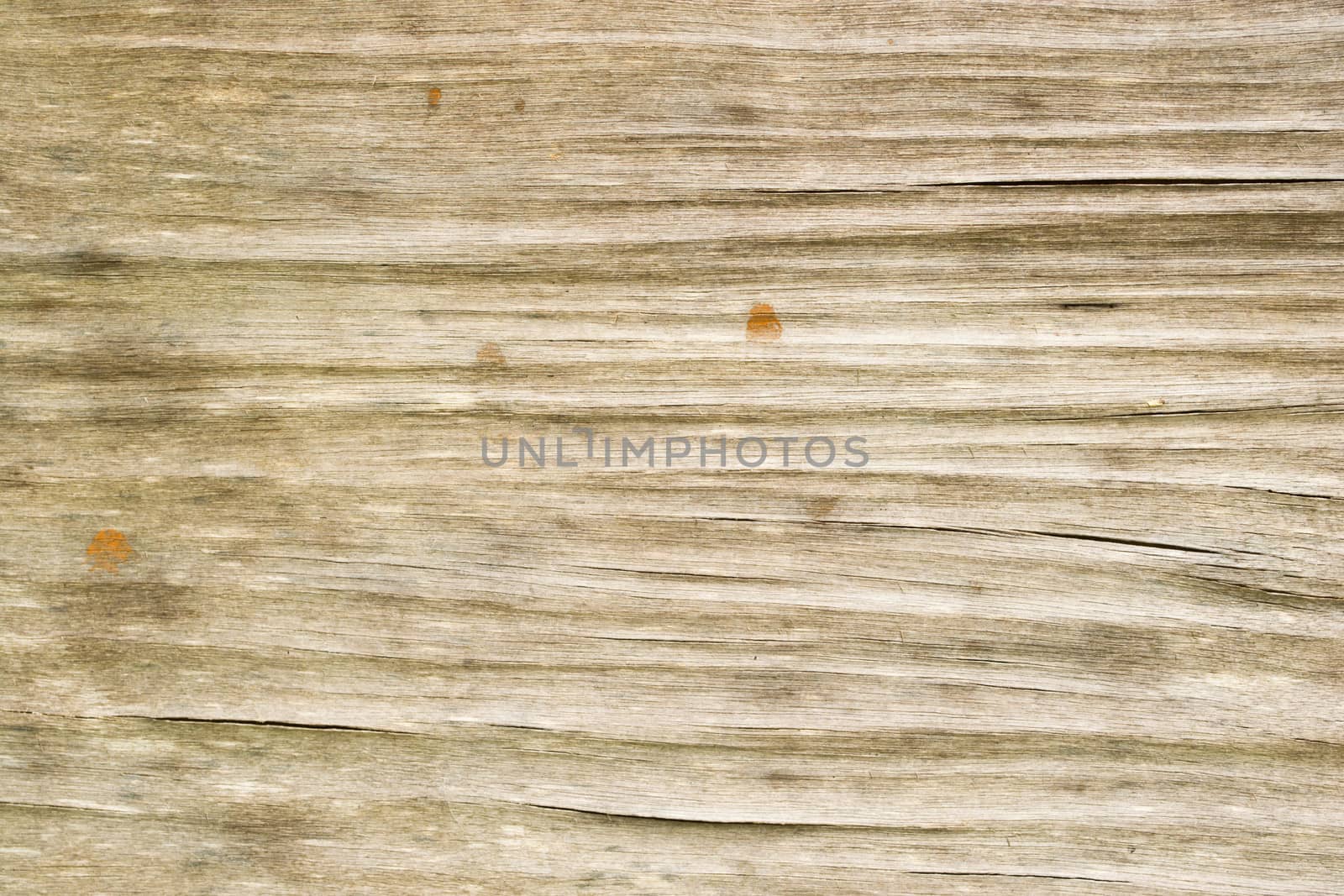 Old wood background