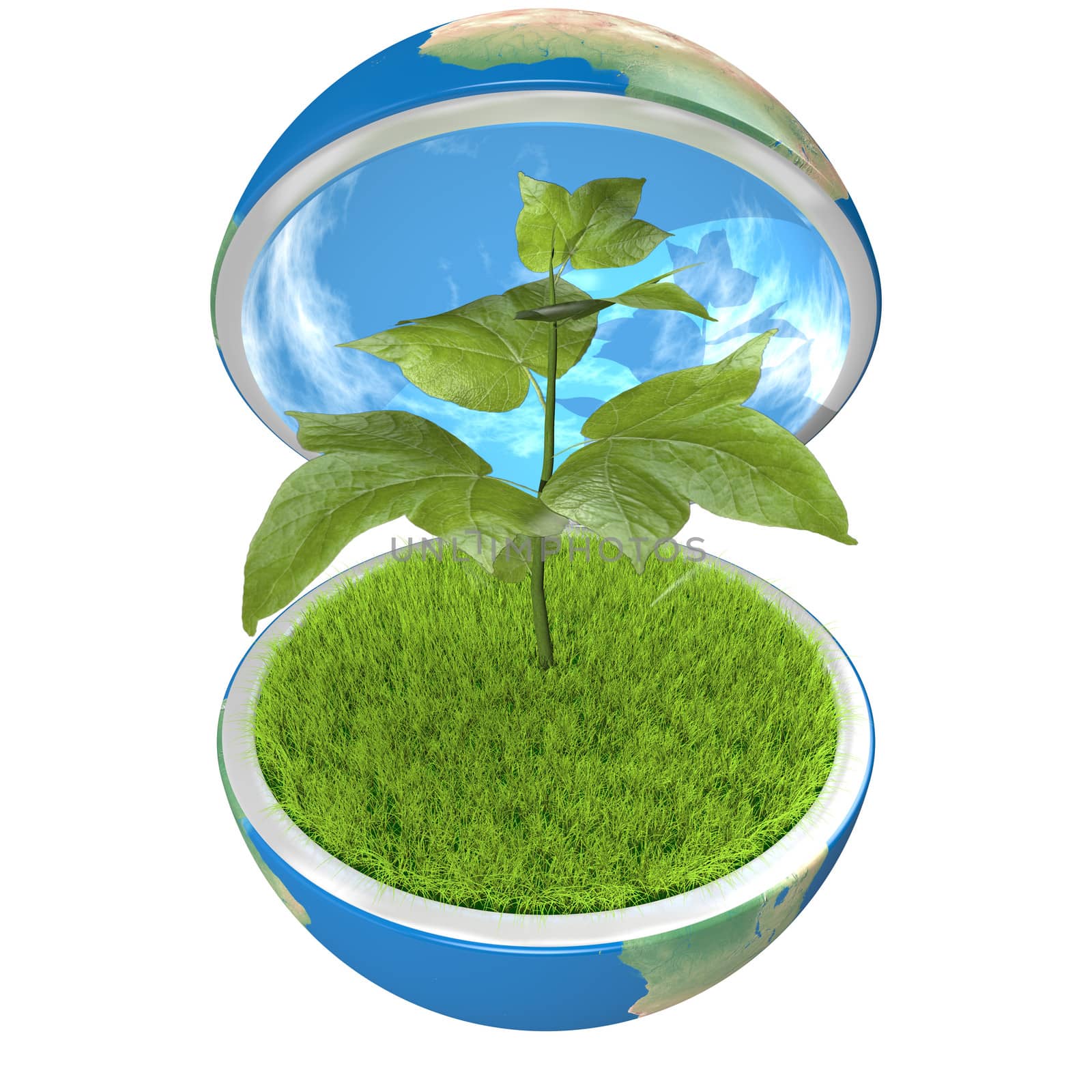 Small plant growing inside opened planet Earth, isolated on white background, concept of ecology, symbol of new life. Elements of this image furnished by NASA