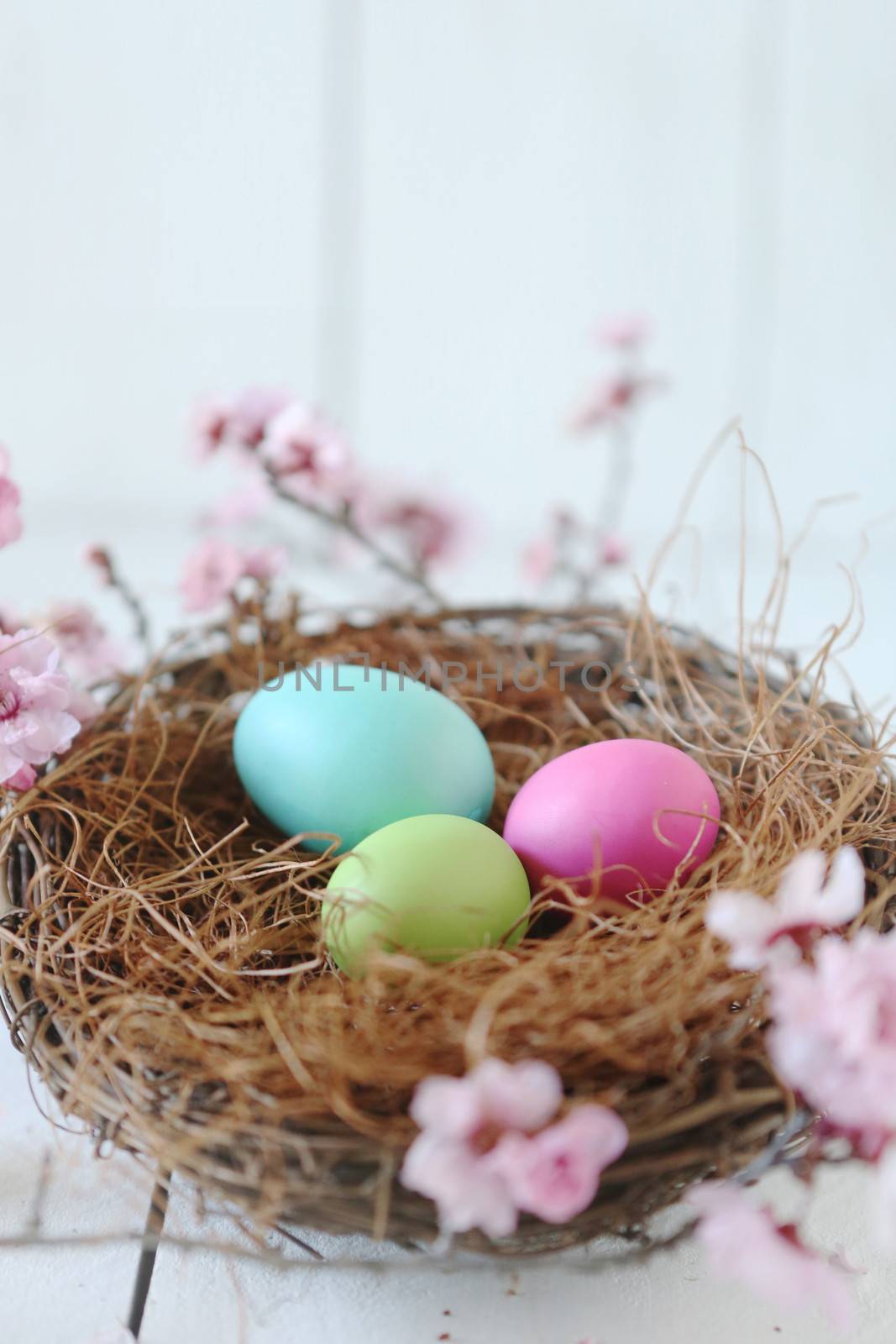 Spring Easter Holiday Themed Still Life Scene in Natural Light