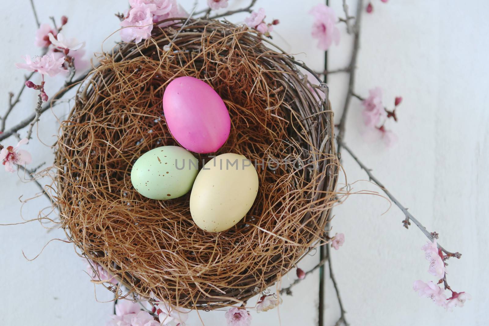 Easter Holiday Themed Still Life Scene in Natural Light by tobkatrina