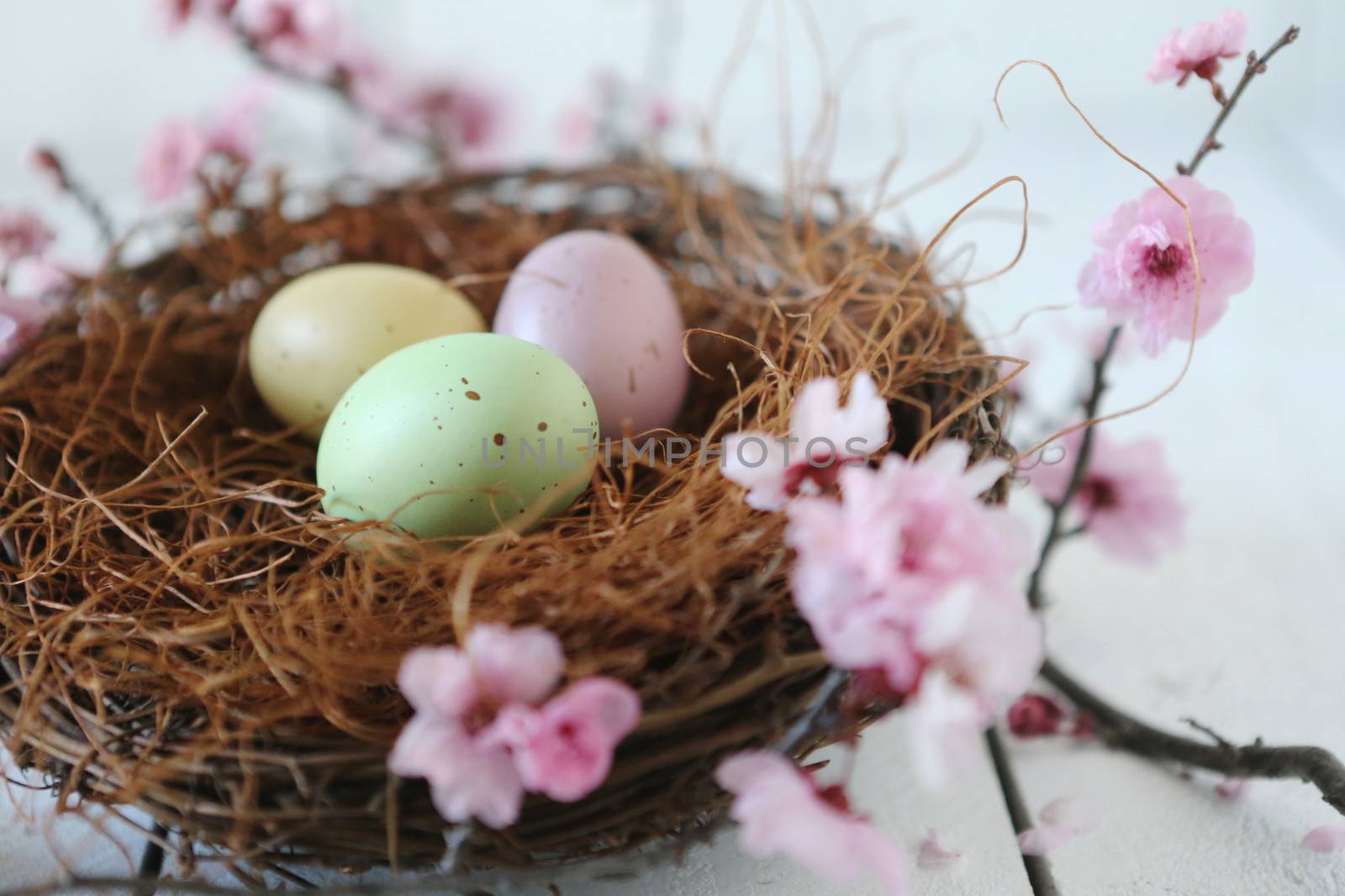 Easter Holiday Themed Still Life Scene in Natural Light by tobkatrina