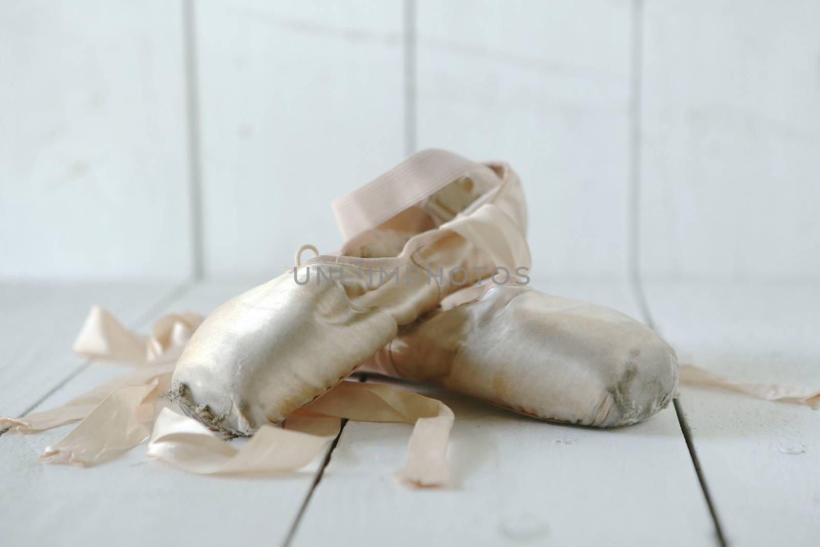 Romantic Posed Pointe Shoes in Natural Light 