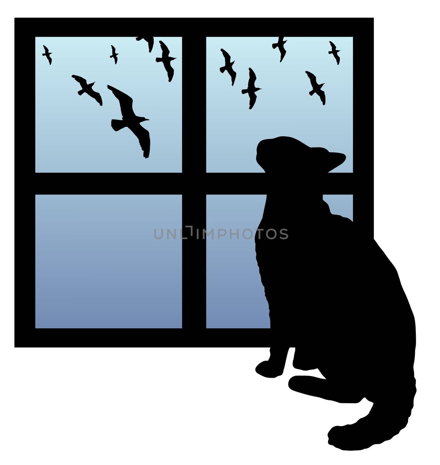 Illustration of a cat watching birds through a window