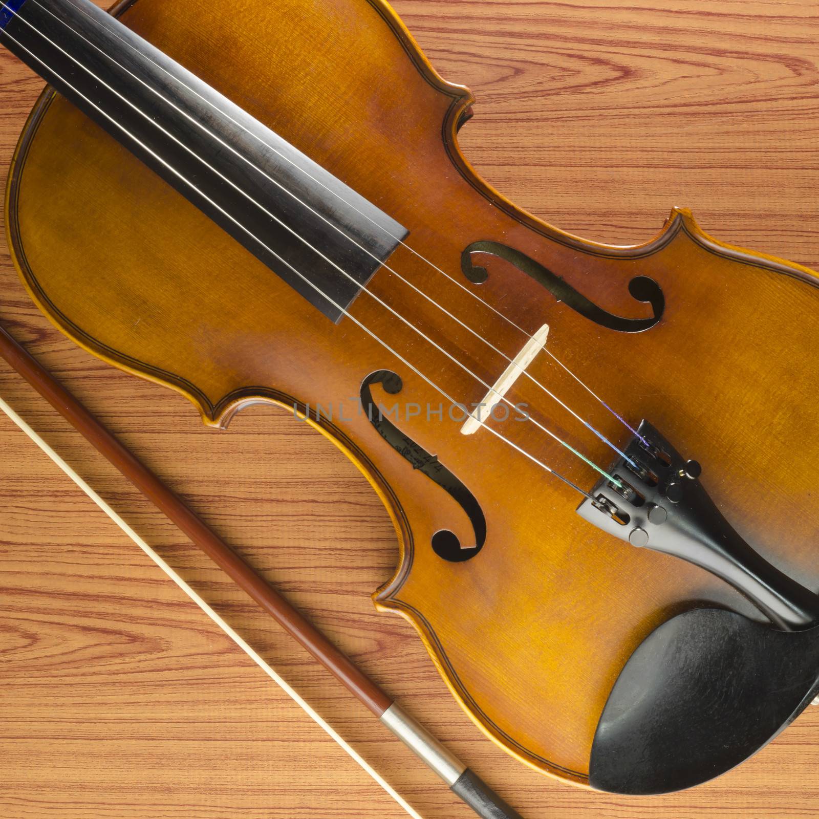 violin on wood background