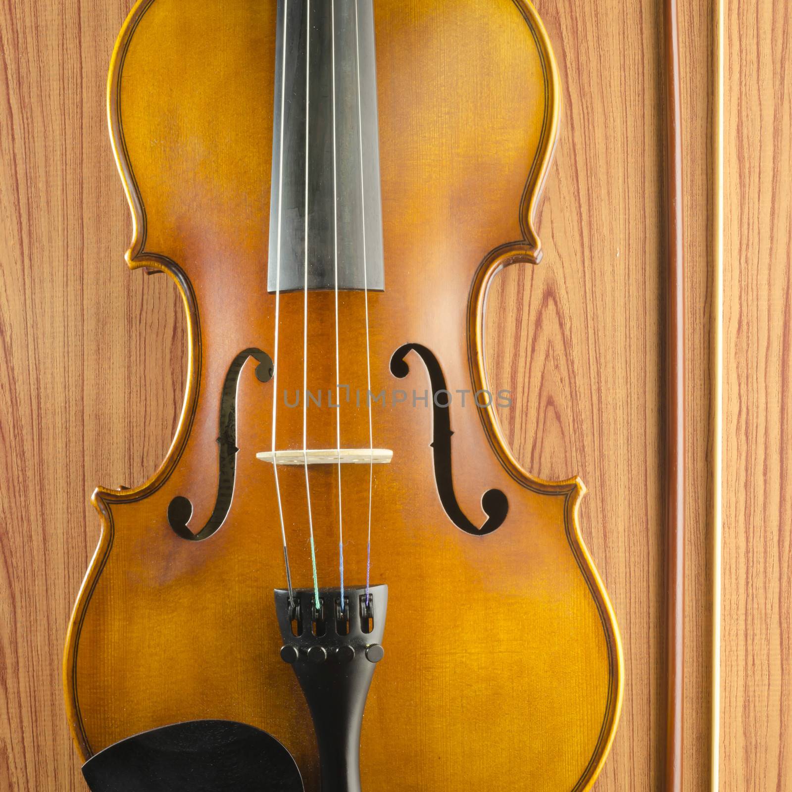 violin on wood background