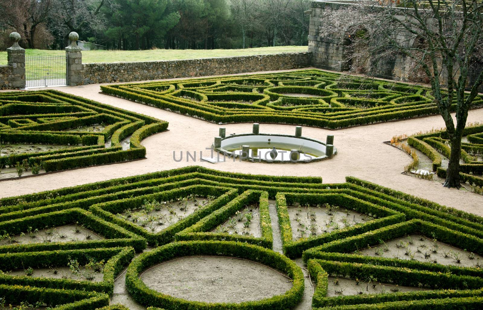 Trimmed maze hedges - El Escorial Madrid by lauria