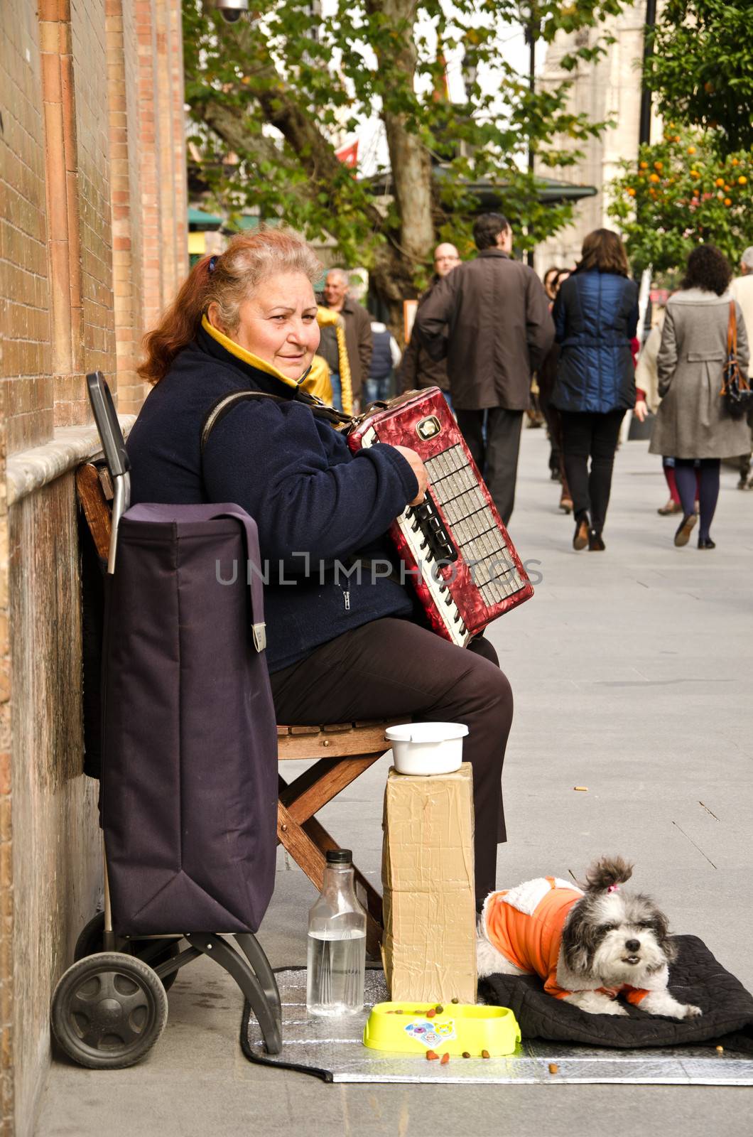 Lady with accordion, Seville Spain.