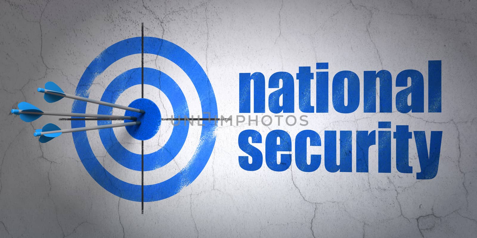 Privacy concept: target and National Security on wall background by maxkabakov