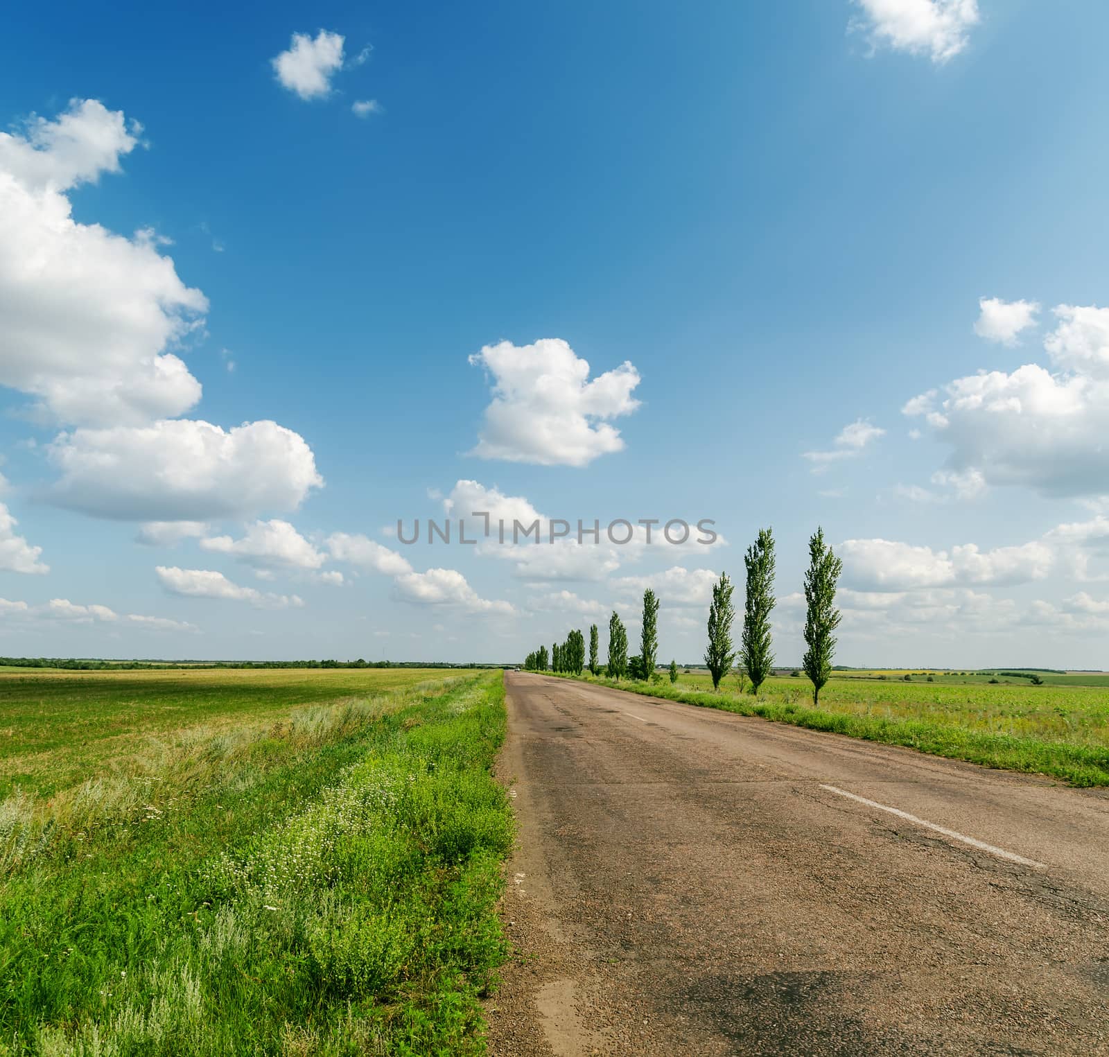 asphalt road in green landscape and blue sky