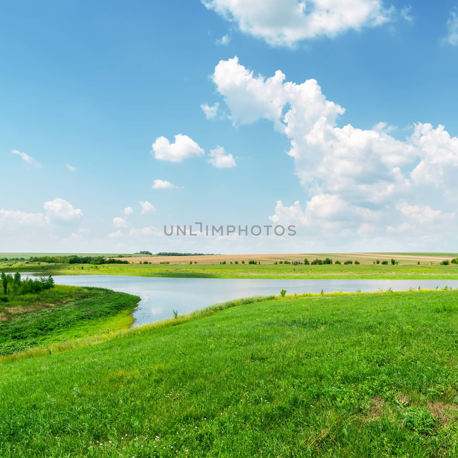green grass, river and clouds in blue sky by mycola